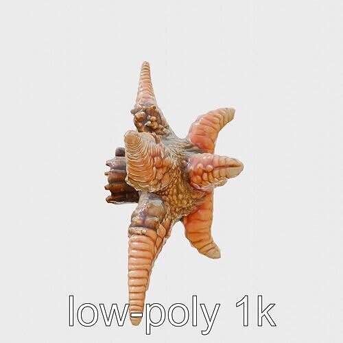 Sunflower Star Marine Creature Model with Detailed Texture Low-poly 3D model