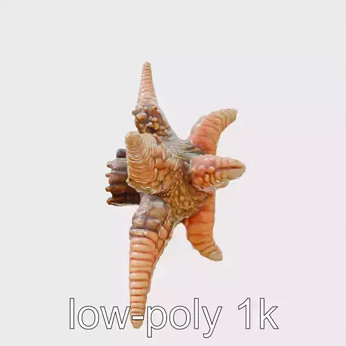 Sunflower Star Marine Creature Model with Detailed Texture