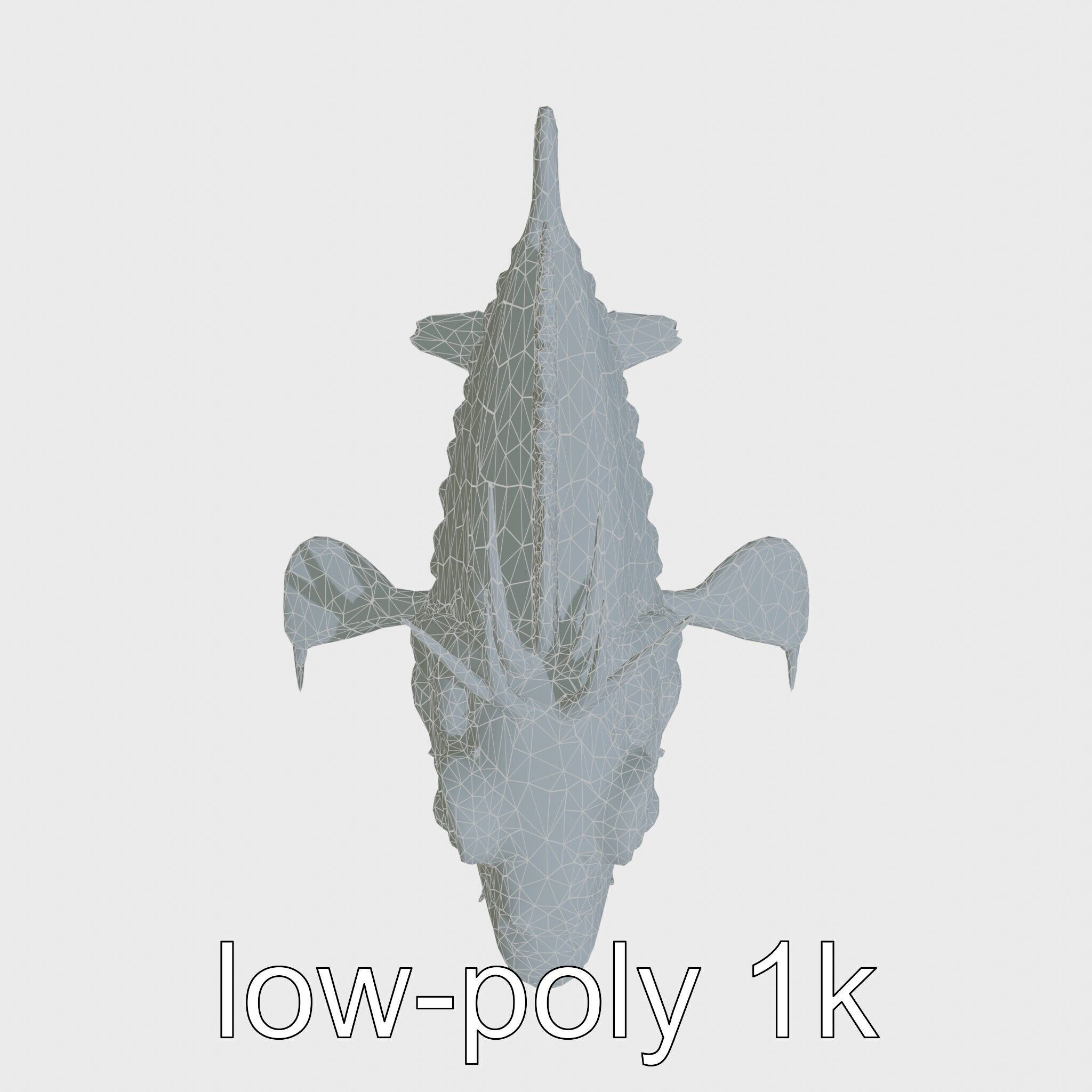 Sarcastic Fringehead Fish Model with Aggressive Expression Low-poly 3D model_26