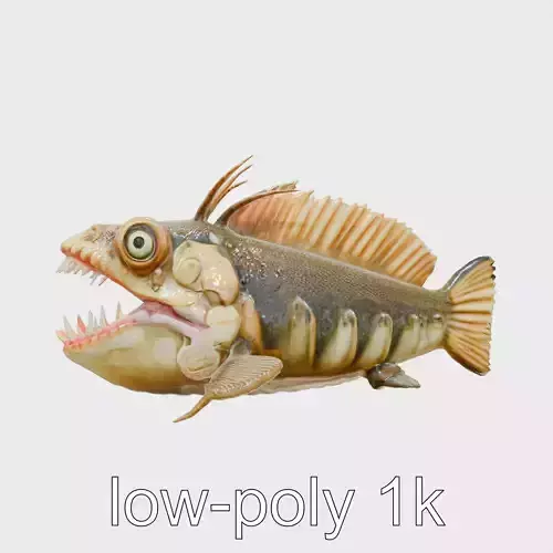 Sarcastic Fringehead Fish Model with Aggressive Expression Low-poly 3D model