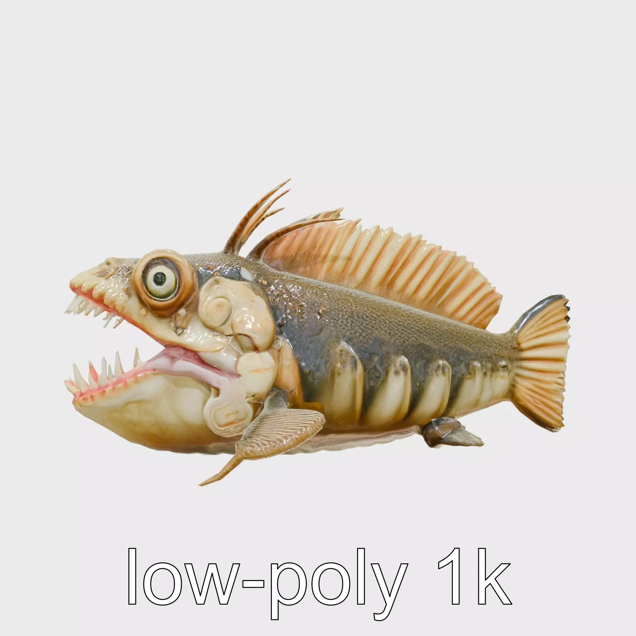 Sarcastic Fringehead Fish Model with Aggressive Expression Low-poly 3D model_0