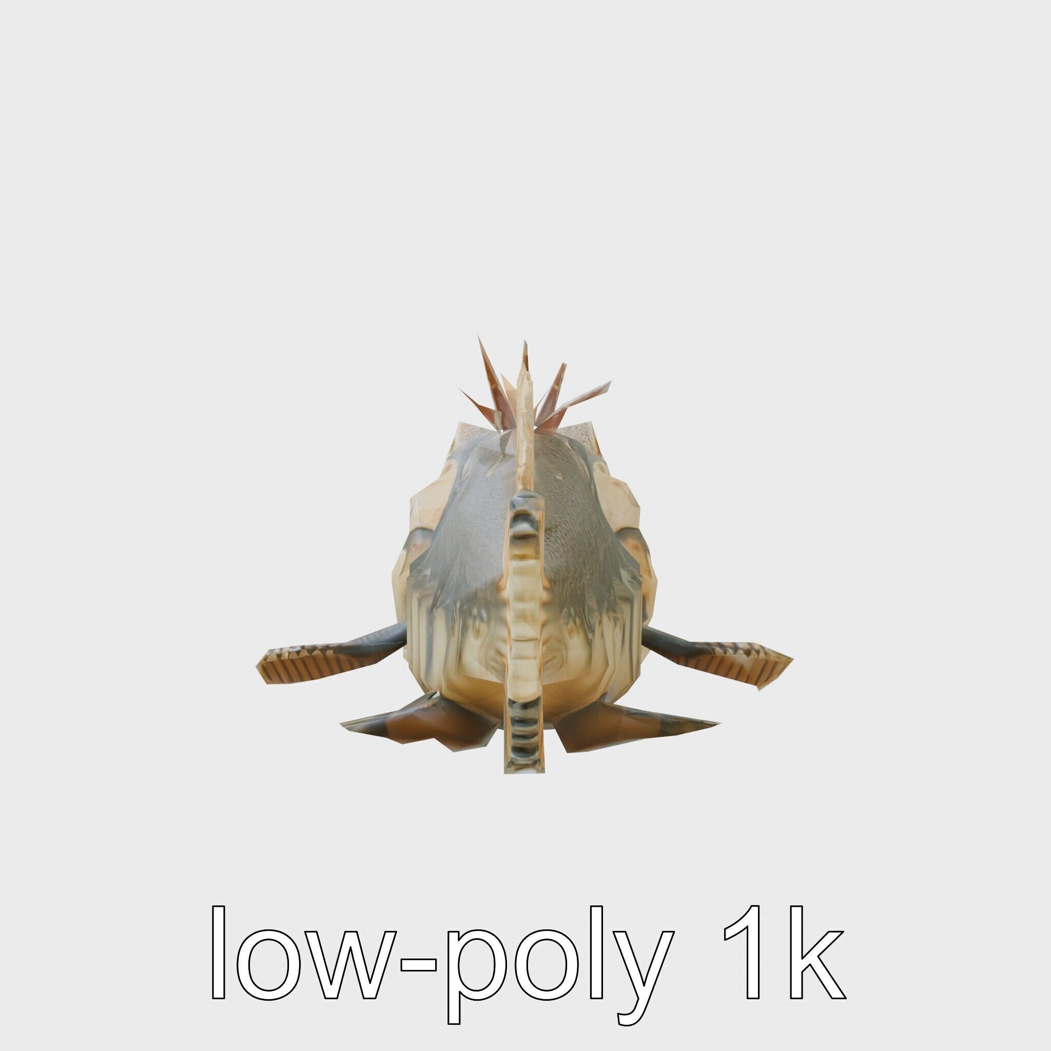 Sarcastic Fringehead Fish Model with Aggressive Expression Low-poly 3D model_21