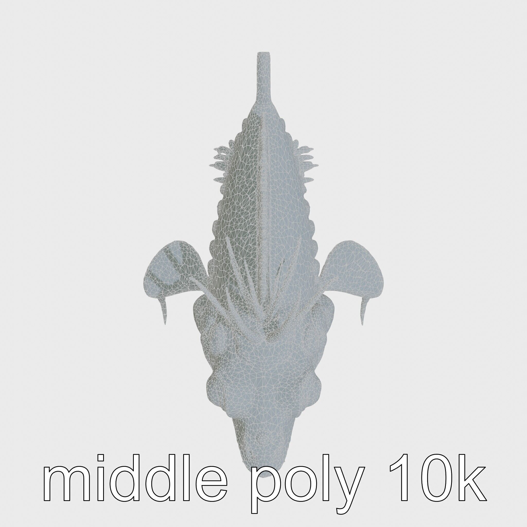 Sarcastic Fringehead Fish Model with Aggressive Expression Low-poly 3D model_20