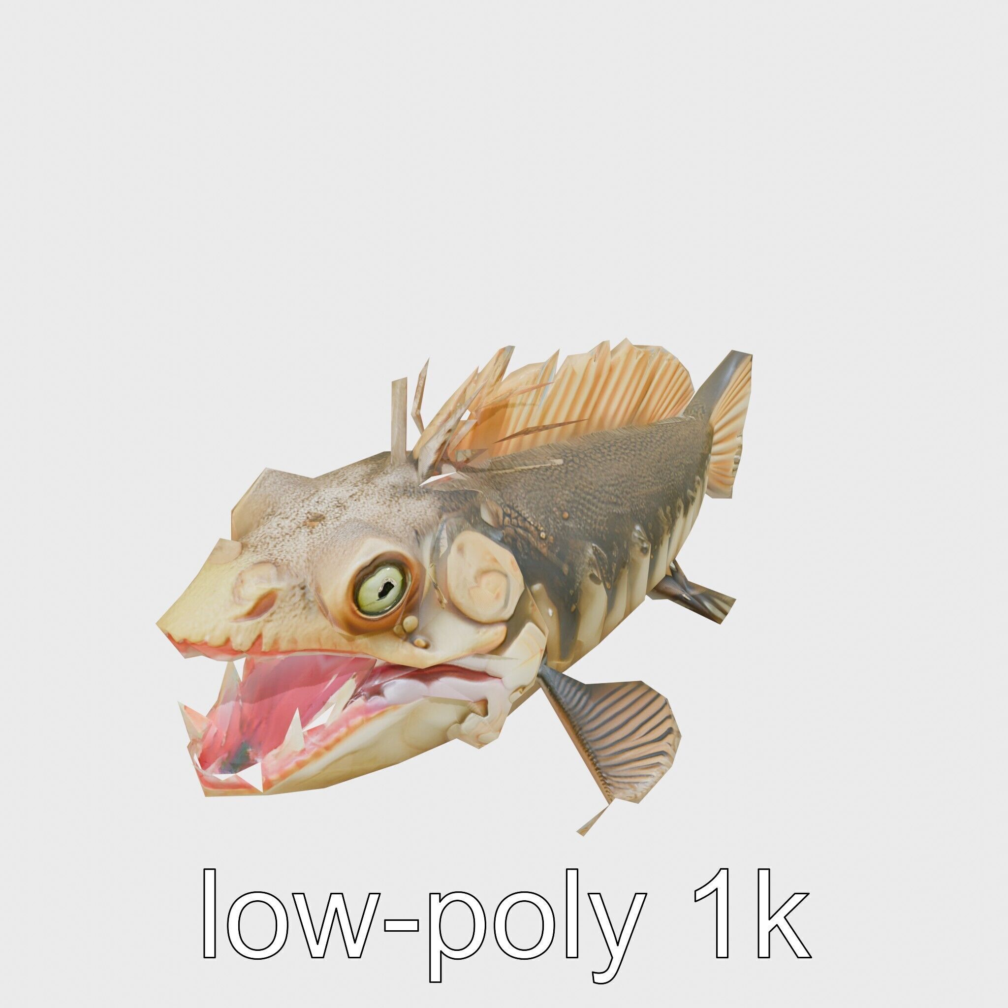 Sarcastic Fringehead Fish Model with Aggressive Expression Low-poly 3D model_25