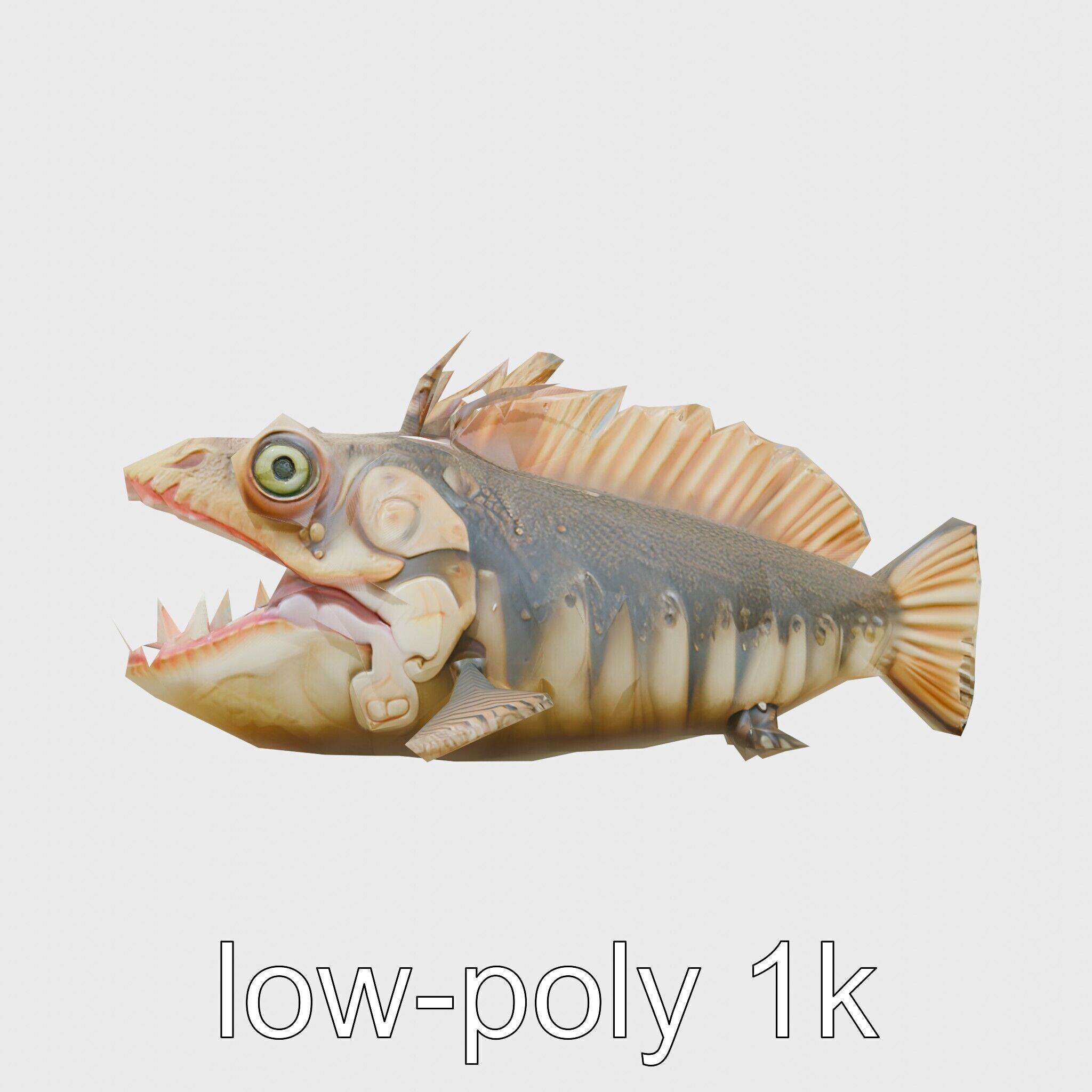 Sarcastic Fringehead Fish Model with Aggressive Expression Low-poly 3D model_4