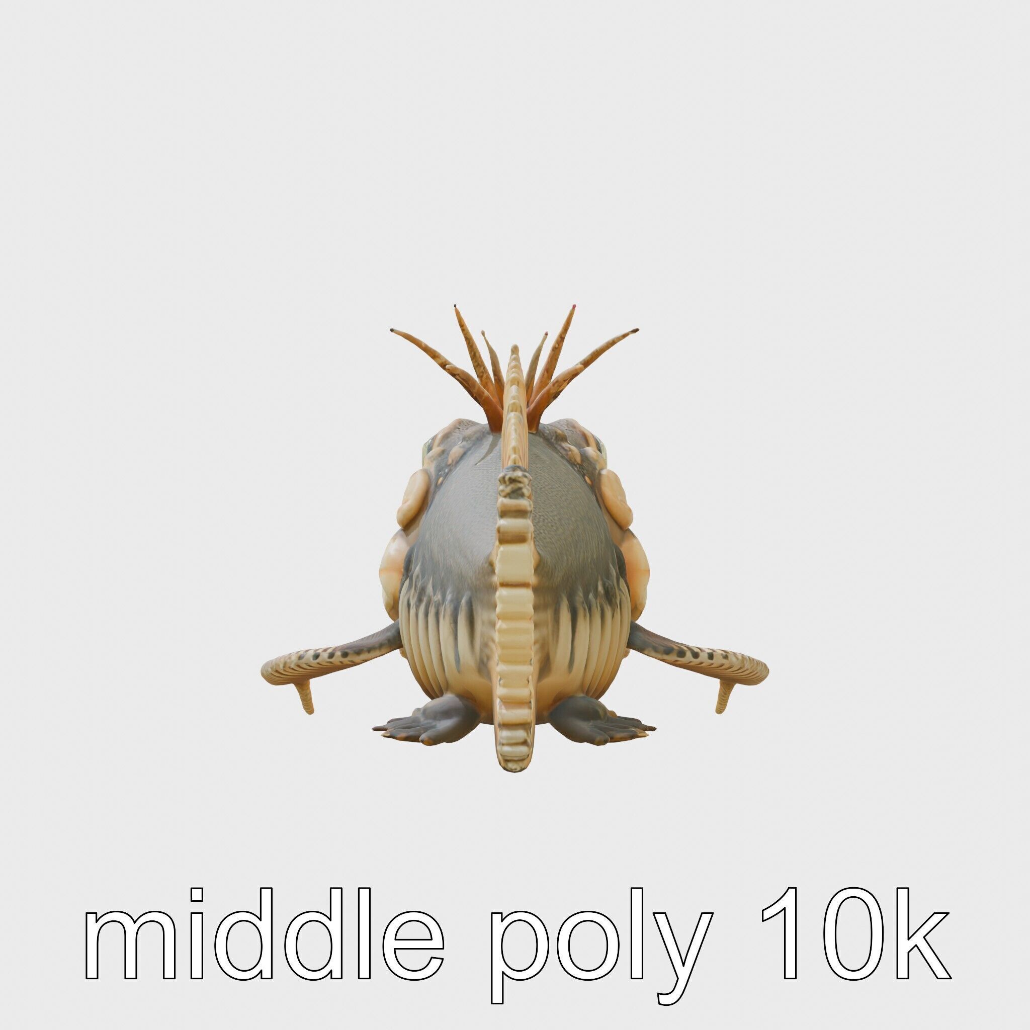 Sarcastic Fringehead Fish Model with Aggressive Expression Low-poly 3D model_22