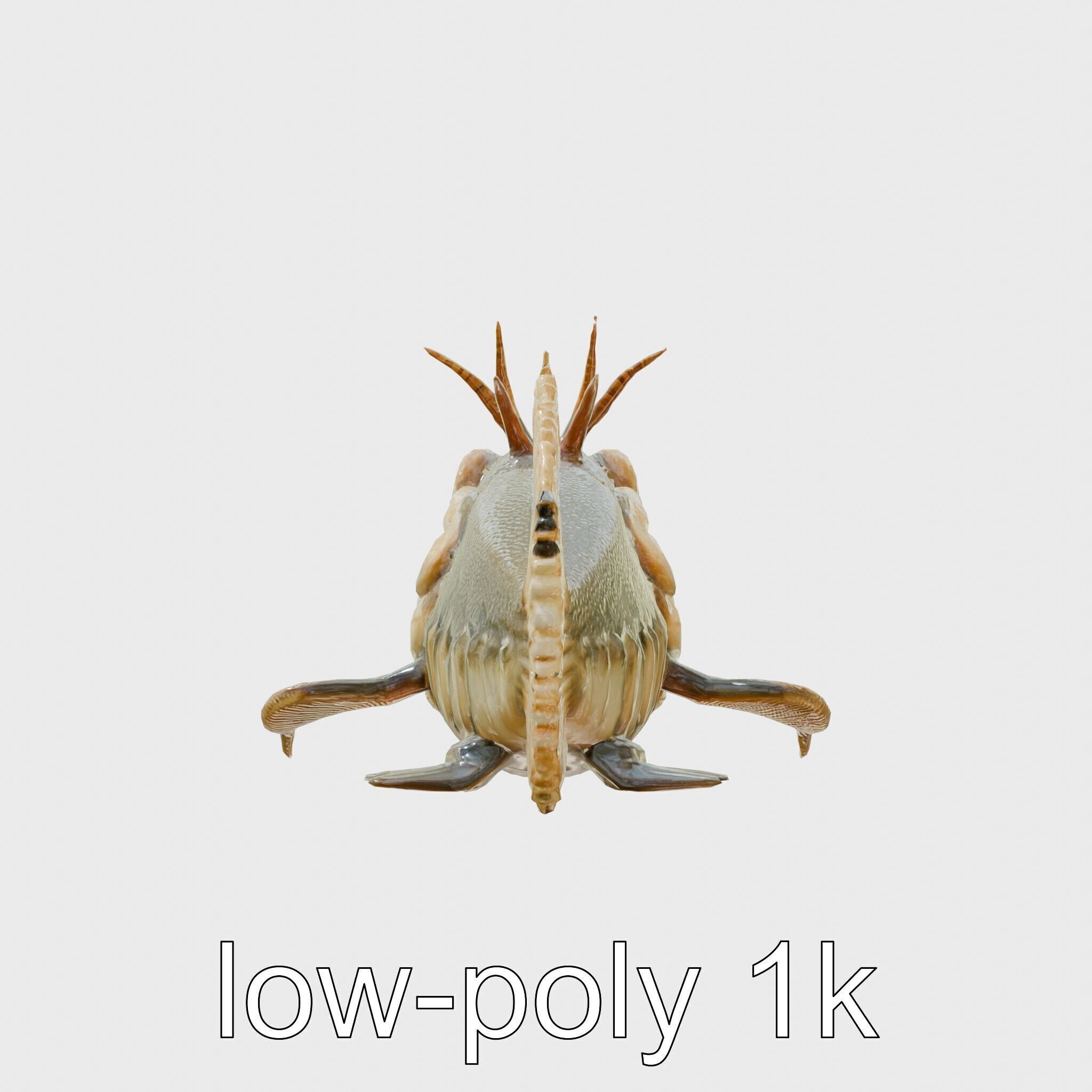 Sarcastic Fringehead Fish Model with Aggressive Expression Low-poly 3D model_24