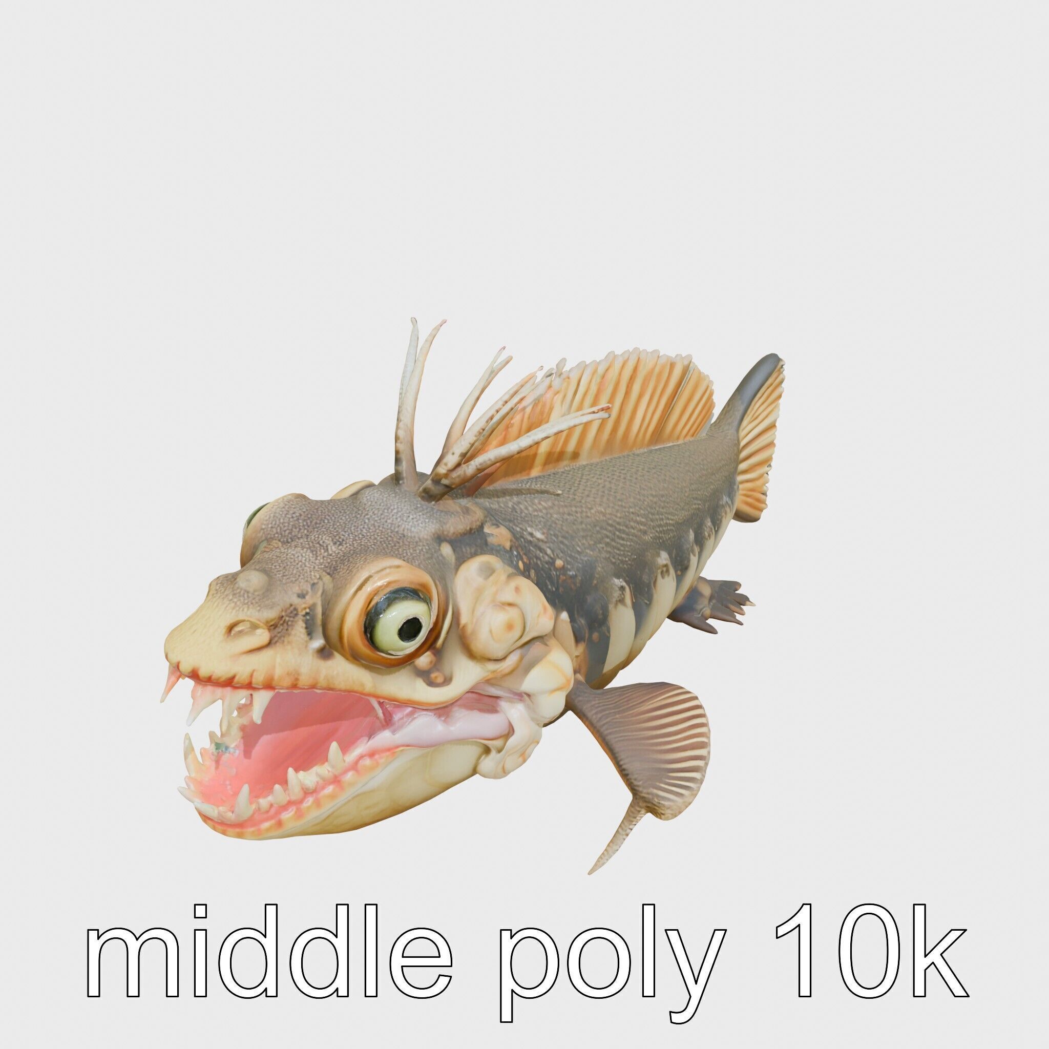 Sarcastic Fringehead Fish Model with Aggressive Expression Low-poly 3D model_5