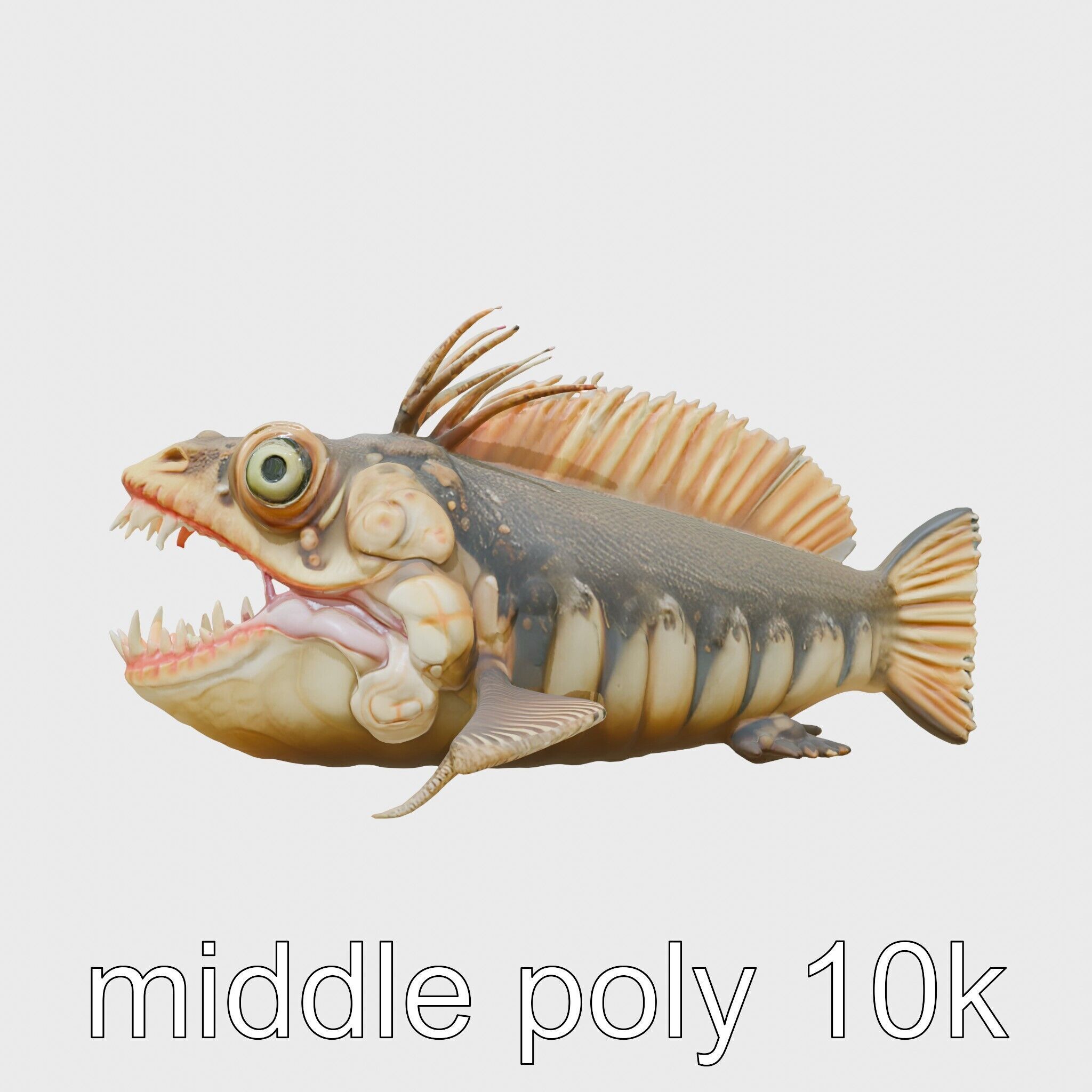 Sarcastic Fringehead Fish Model with Aggressive Expression Low-poly 3D model_8