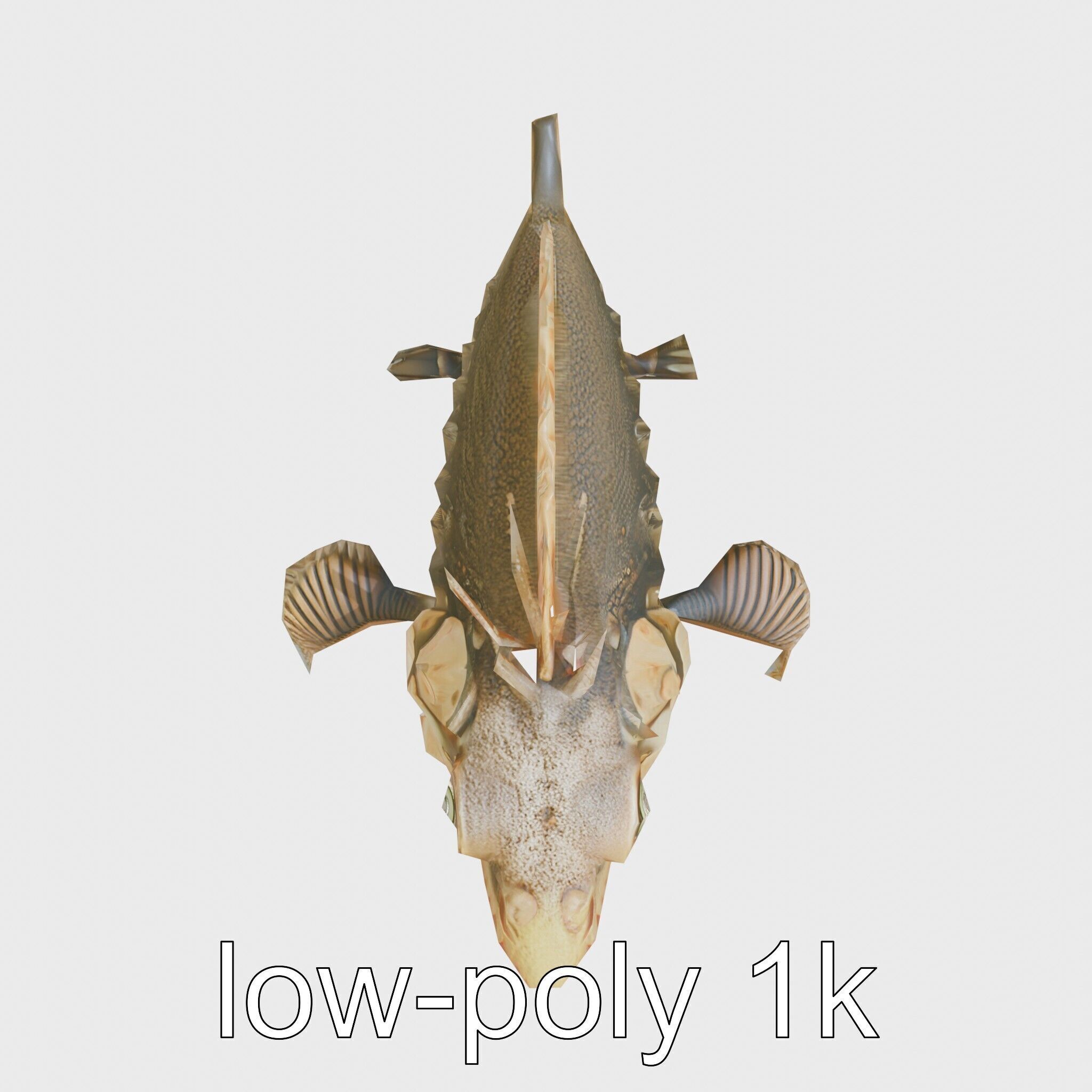 Sarcastic Fringehead Fish Model with Aggressive Expression Low-poly 3D model_10