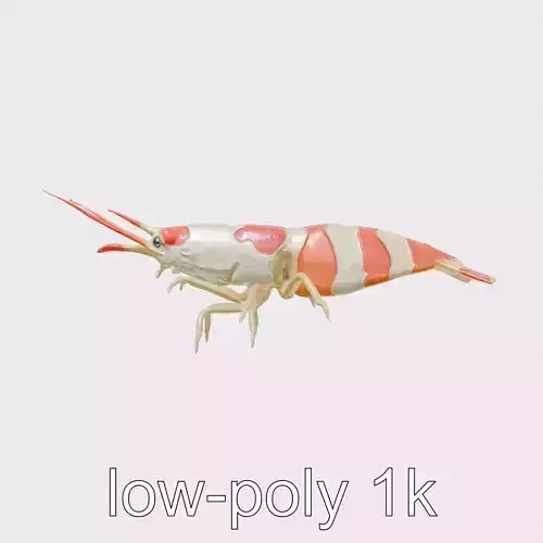 Harlequin Shrimp Model with Clown-Like Markings