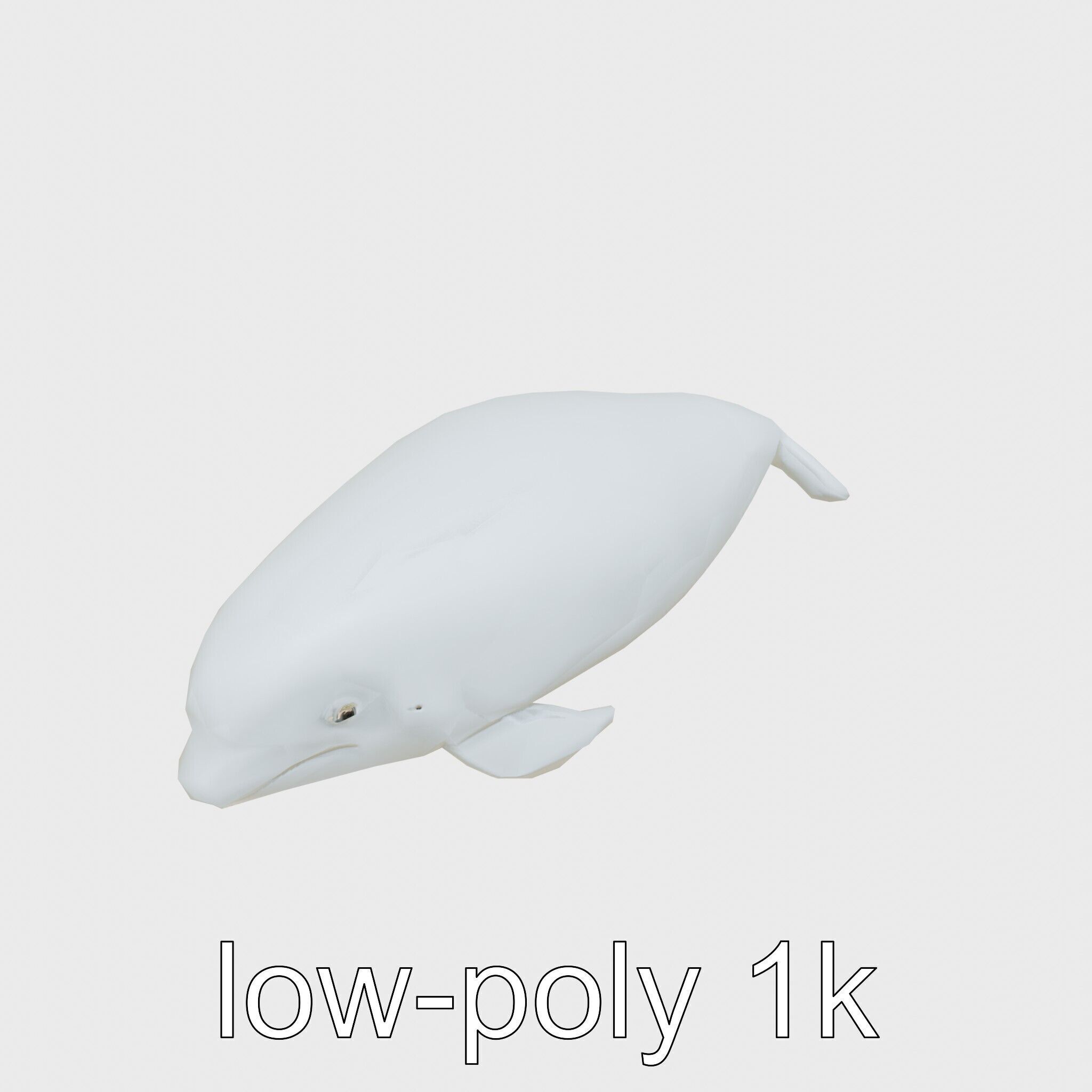 Beluga Whale 3D Model with White Skin and Flexible Neck Low-poly 3D model_10