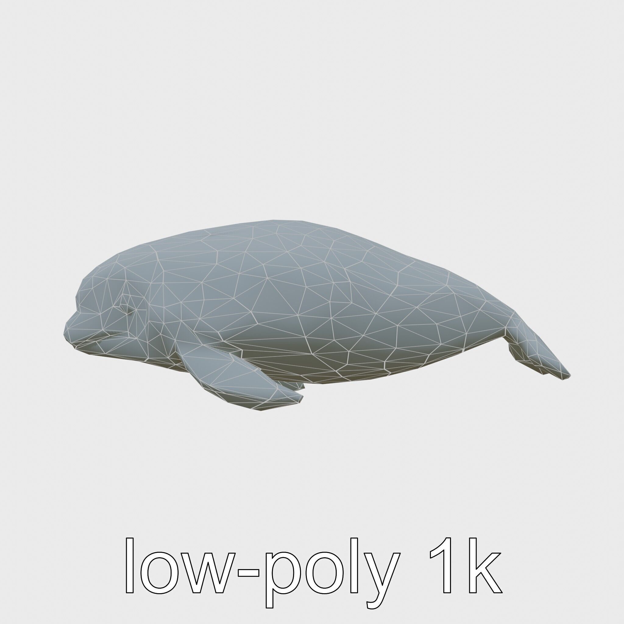 Beluga Whale 3D Model with White Skin and Flexible Neck Low-poly 3D model_15