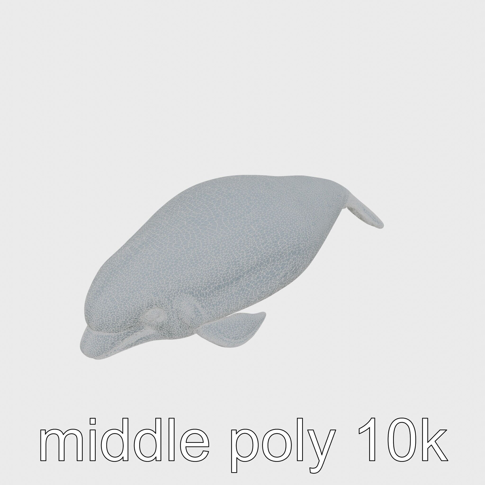Beluga Whale 3D Model with White Skin and Flexible Neck Low-poly 3D model_28