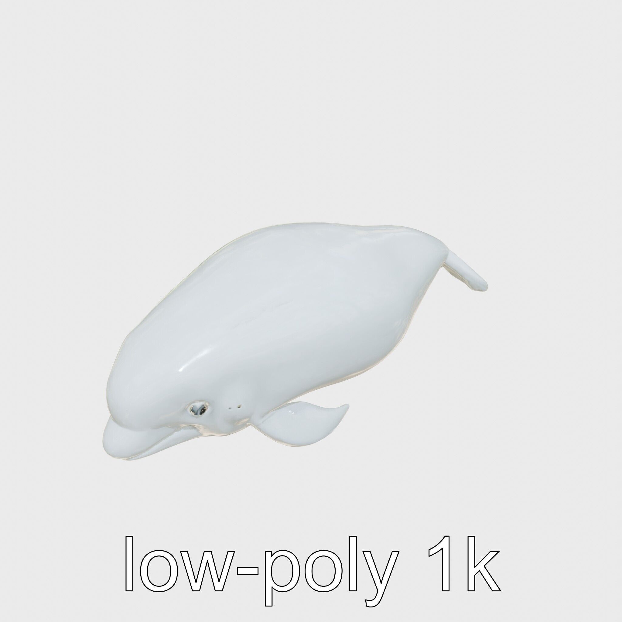 Beluga Whale 3D Model with White Skin and Flexible Neck Low-poly 3D model_9
