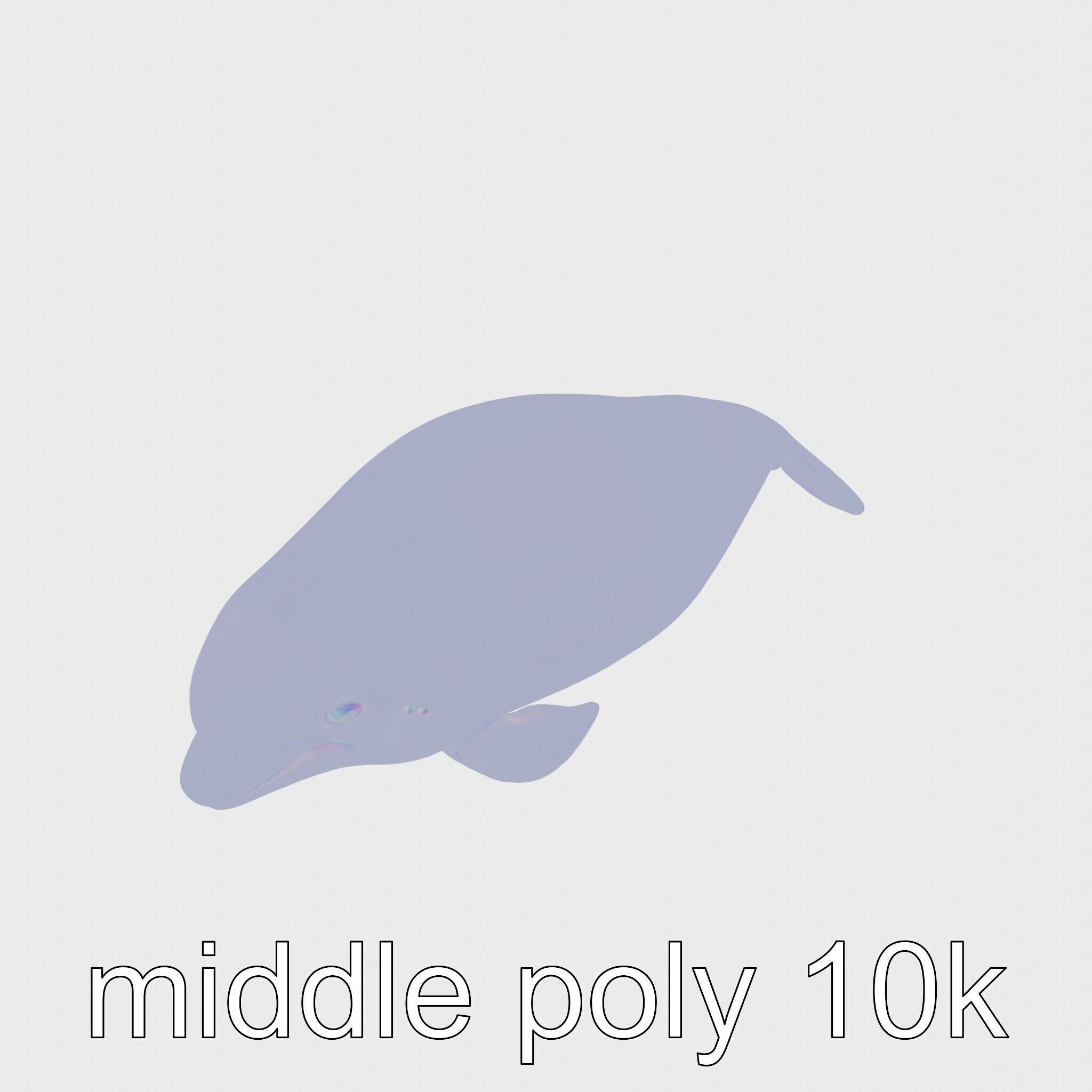 Beluga Whale 3D Model with White Skin and Flexible Neck Low-poly 3D model_23