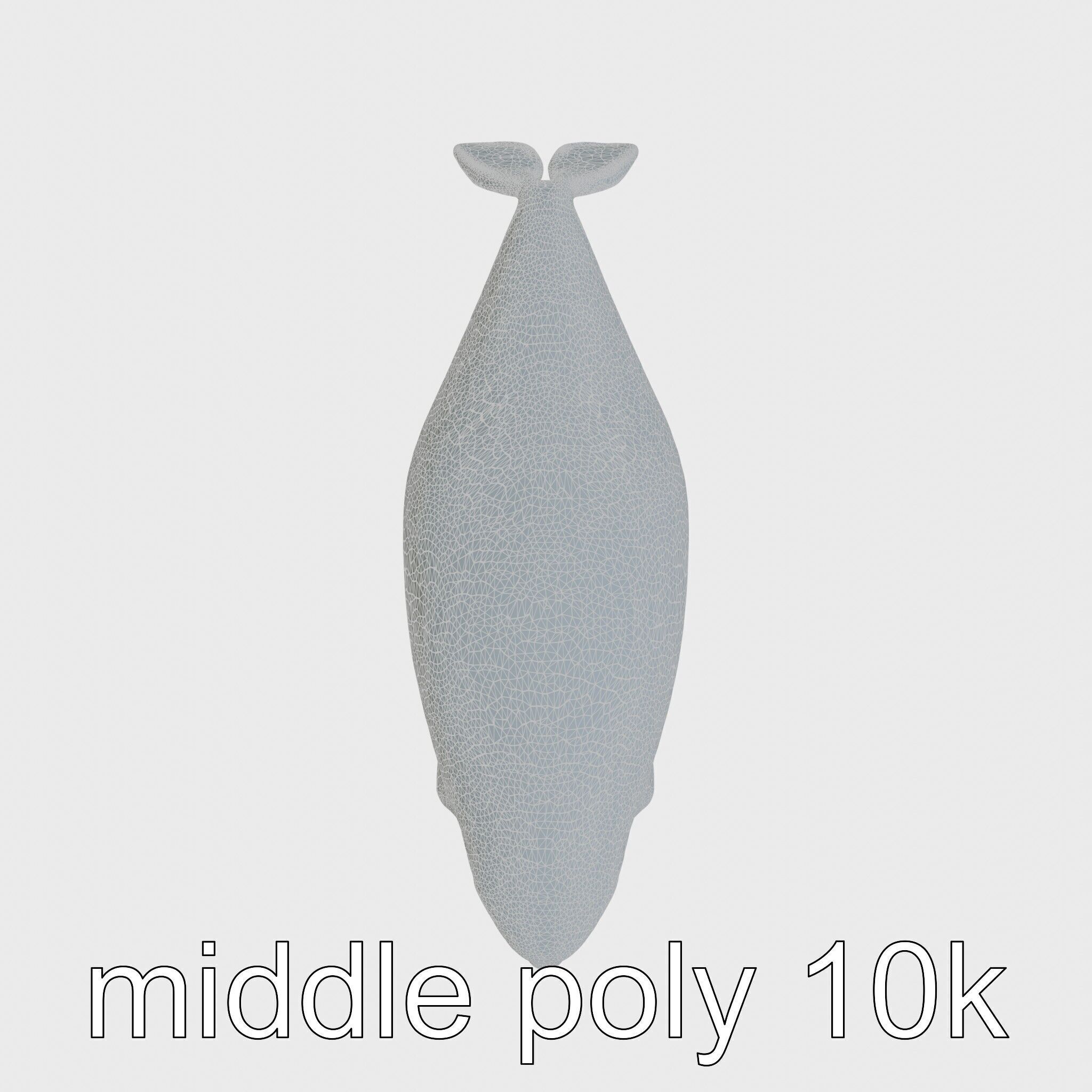 Beluga Whale 3D Model with White Skin and Flexible Neck Low-poly 3D model_24
