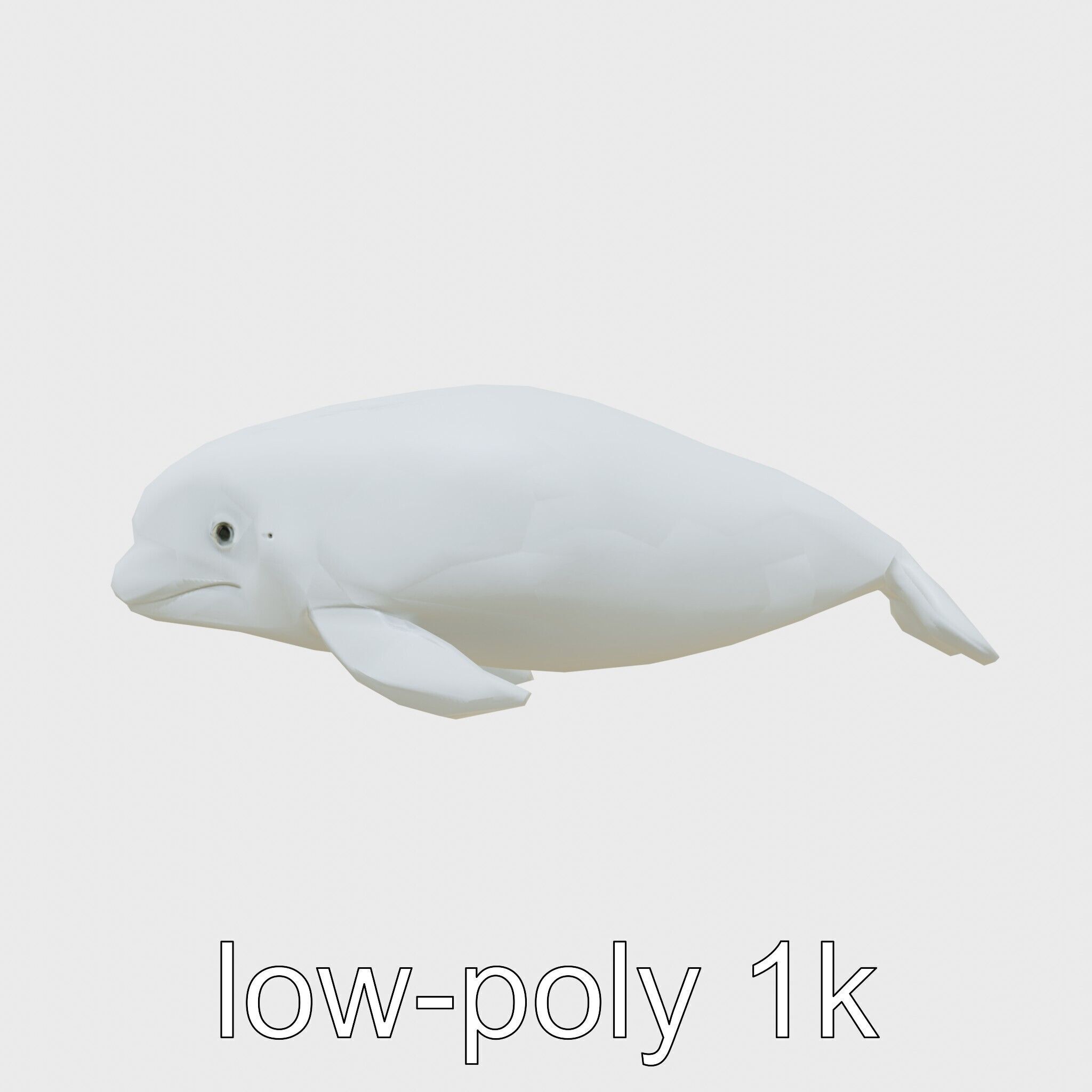 Beluga Whale 3D Model with White Skin and Flexible Neck Low-poly 3D model_16