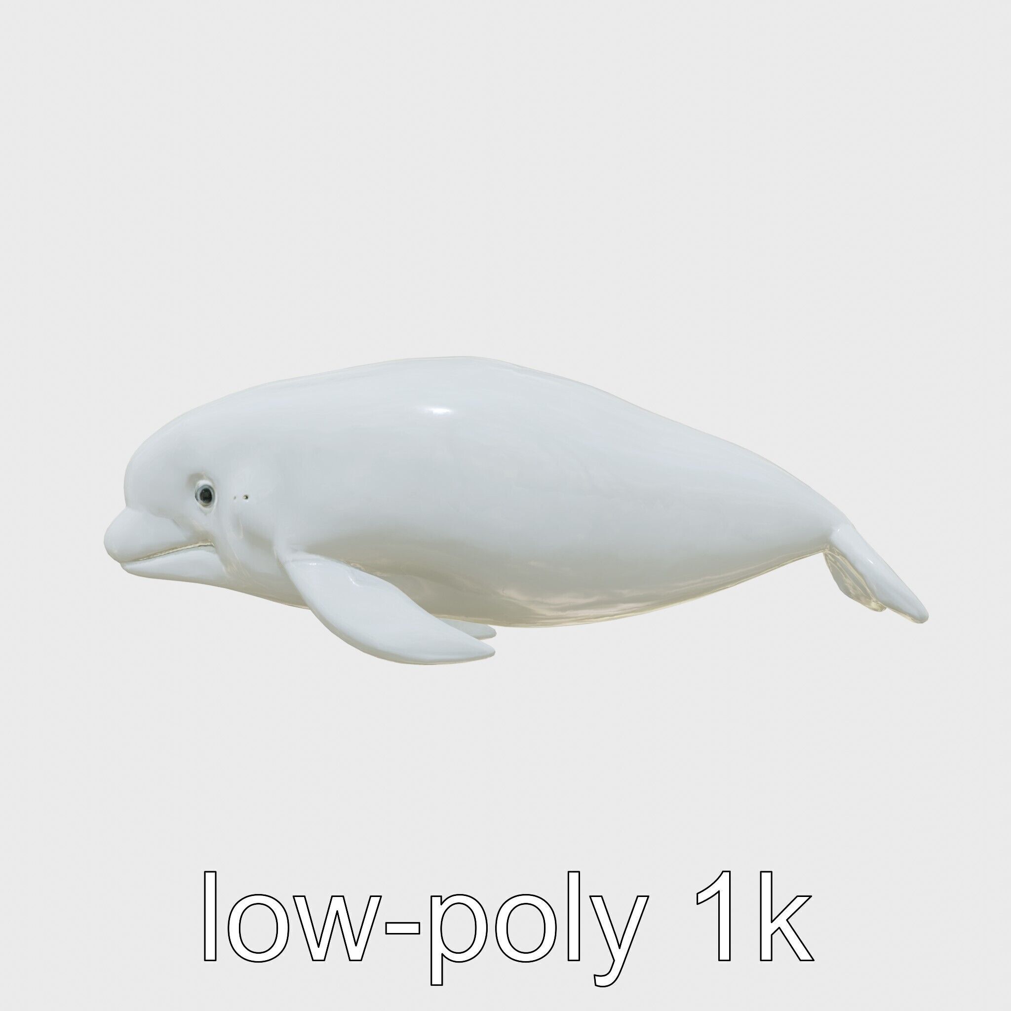 Beluga Whale 3D Model with White Skin and Flexible Neck Low-poly 3D model_29