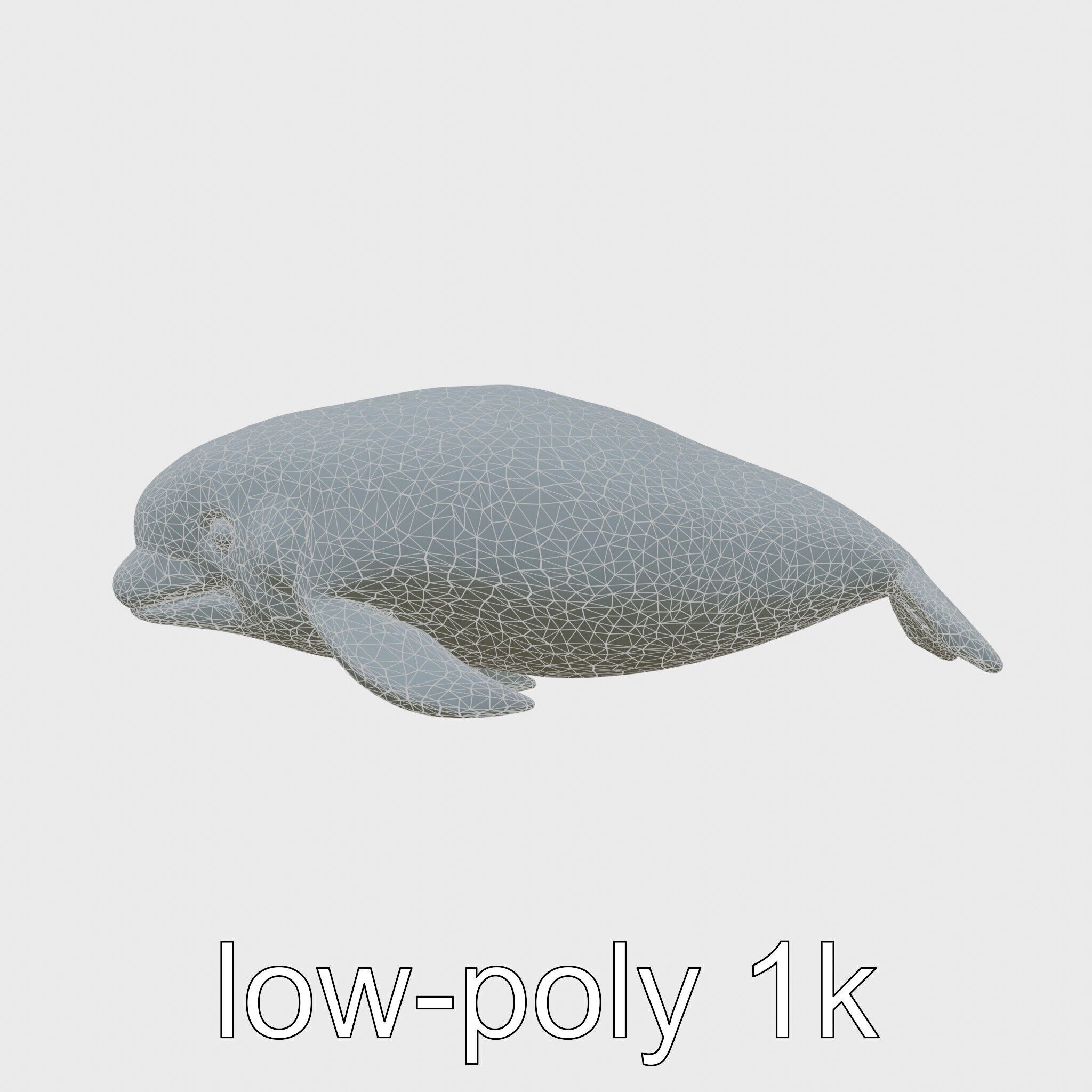Beluga Whale 3D Model with White Skin and Flexible Neck Low-poly 3D model_30
