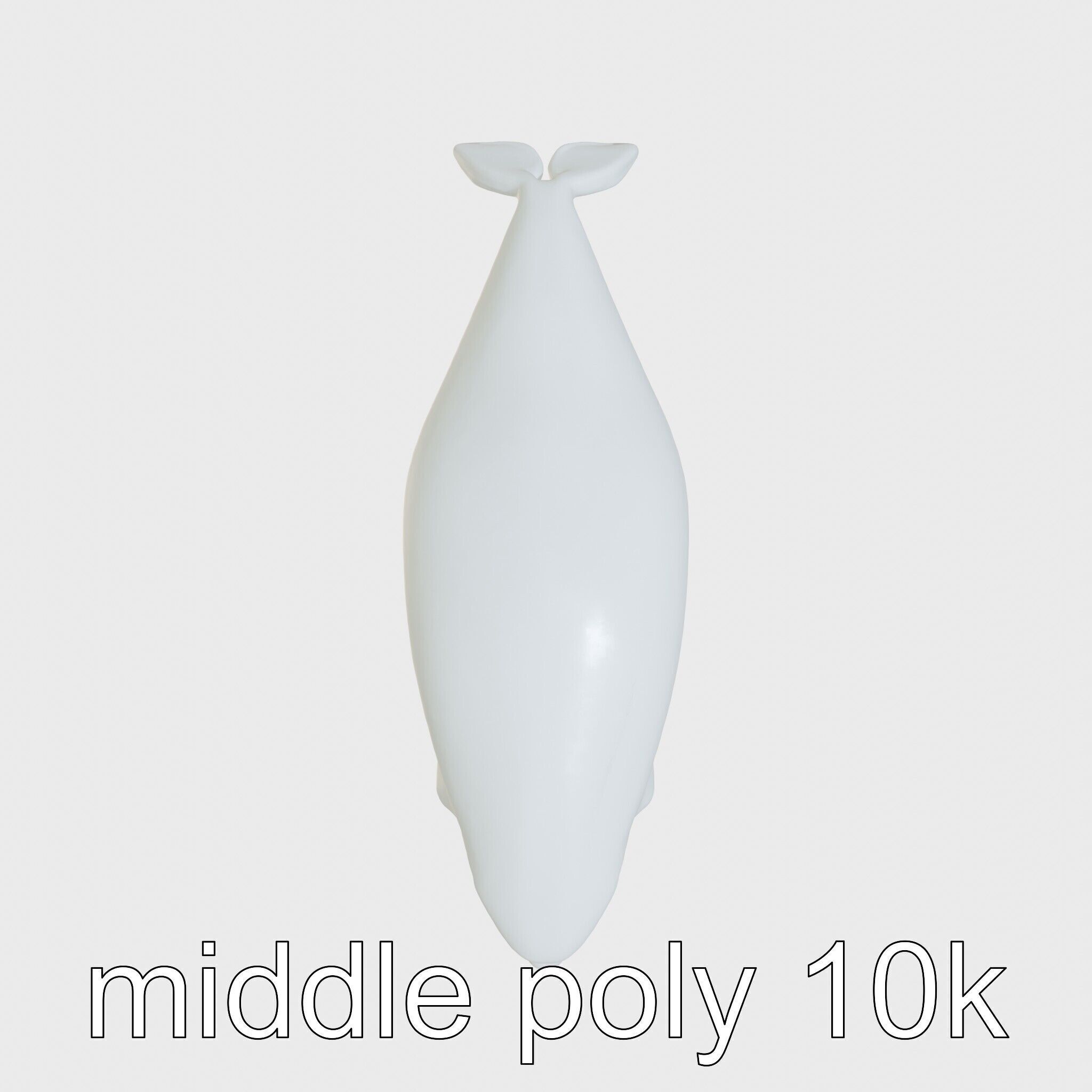 Beluga Whale 3D Model with White Skin and Flexible Neck Low-poly 3D model_18