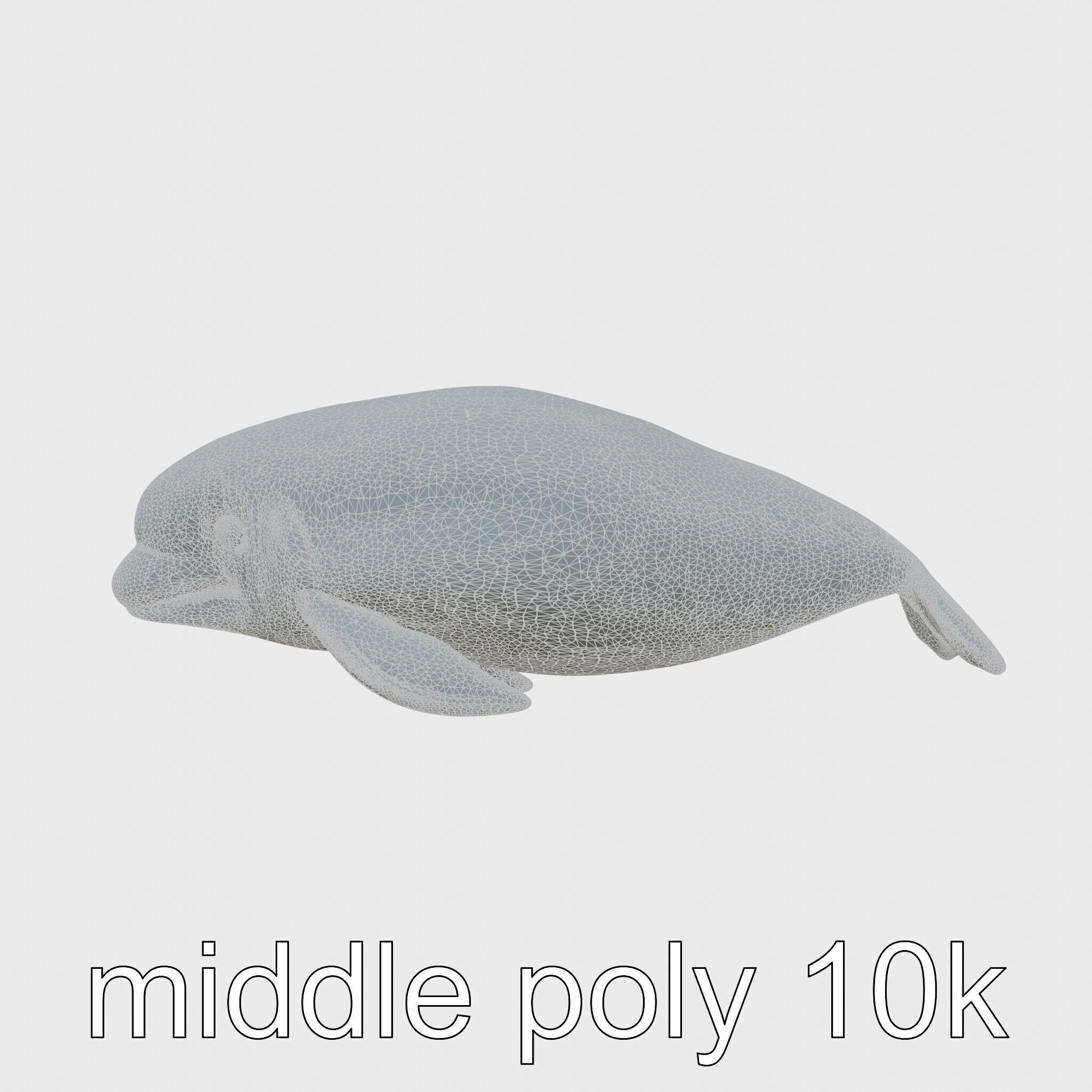 Beluga Whale 3D Model with White Skin and Flexible Neck Low-poly 3D model_22