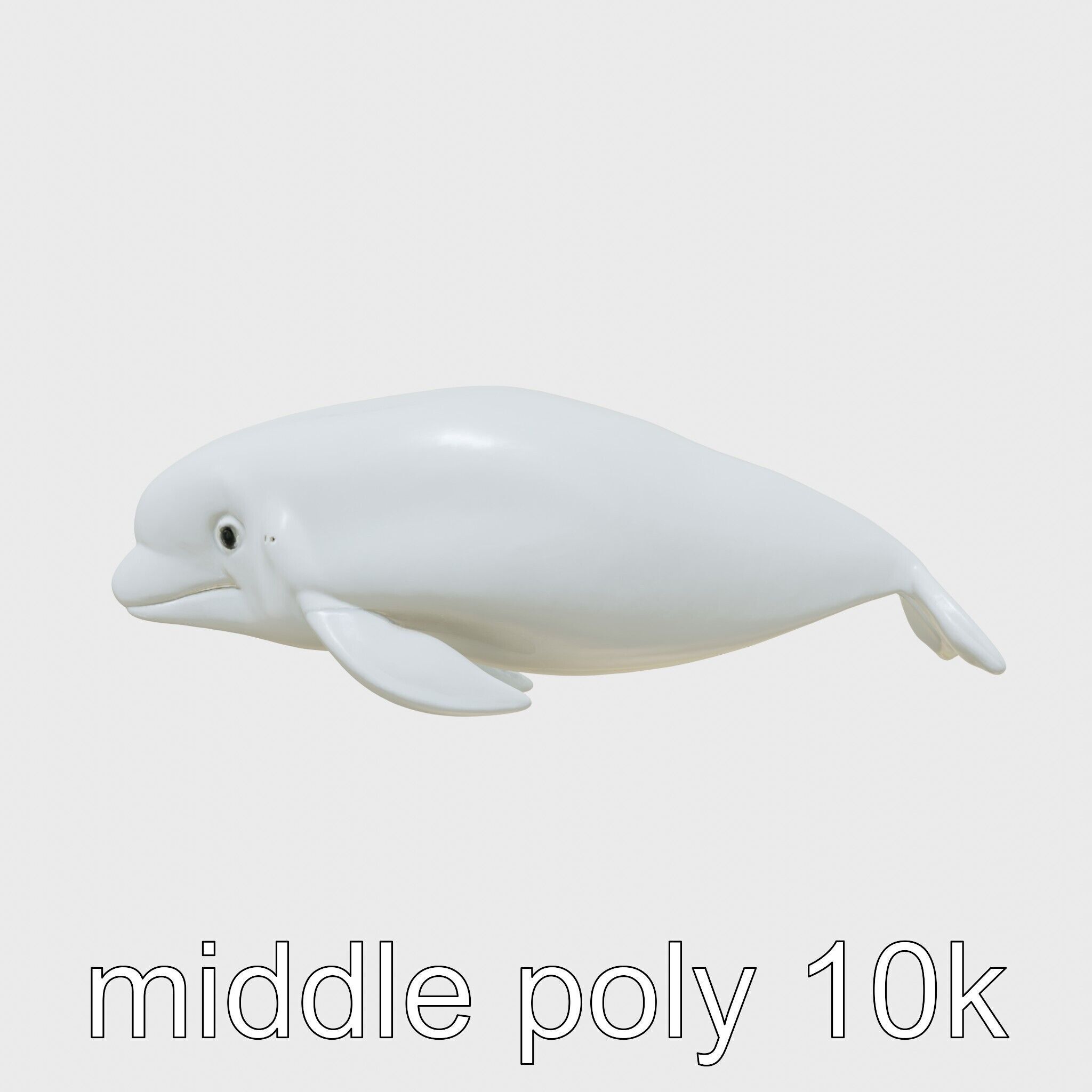 Beluga Whale 3D Model with White Skin and Flexible Neck Low-poly 3D model_11
