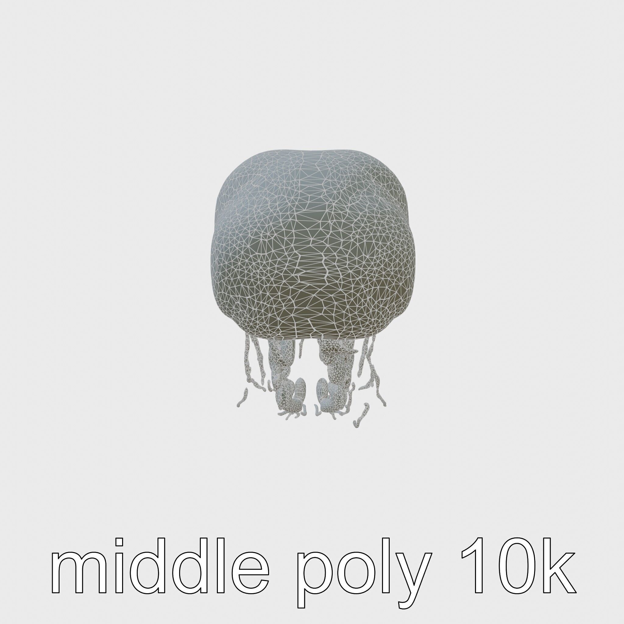 Bioluminescent Deep-Sea Jellyfish with Glowing Tentacles Low-poly 3D model_5