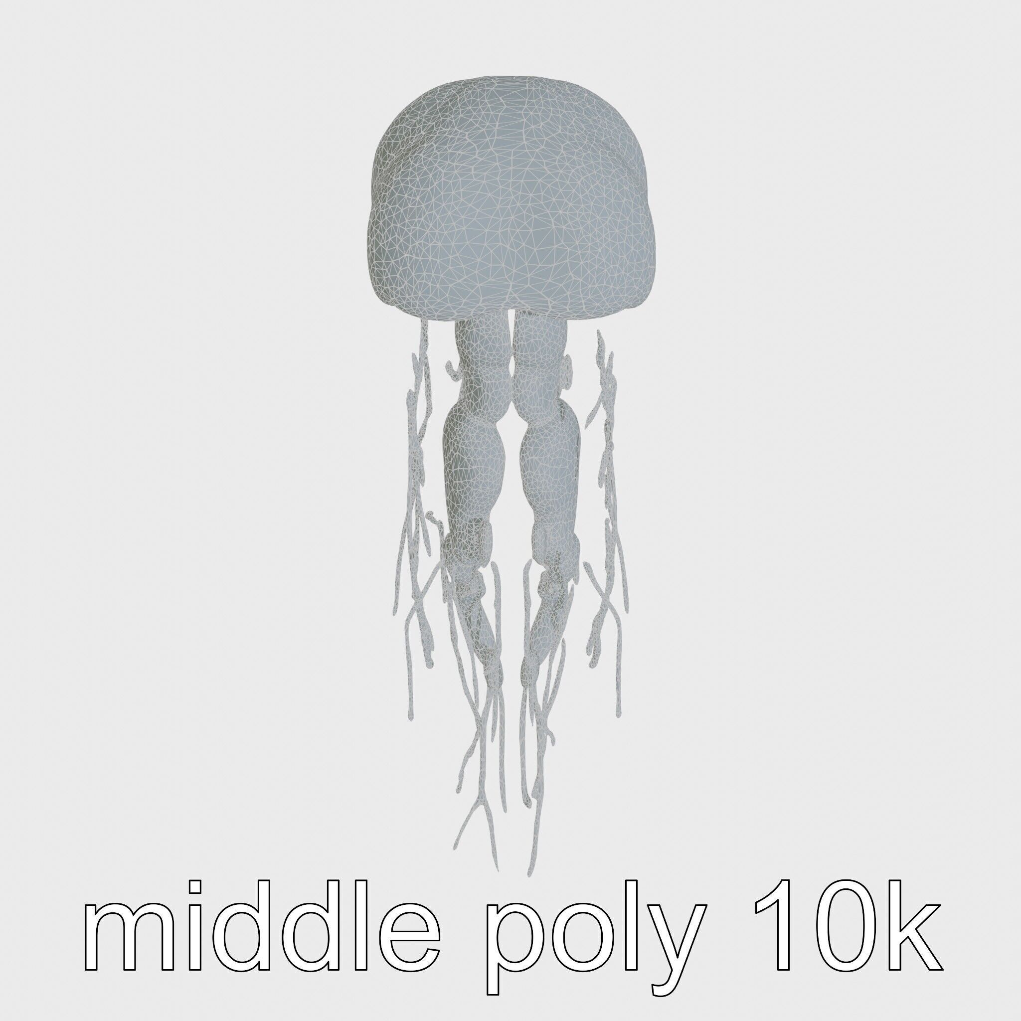 Bioluminescent Deep-Sea Jellyfish with Glowing Tentacles Low-poly 3D model_18