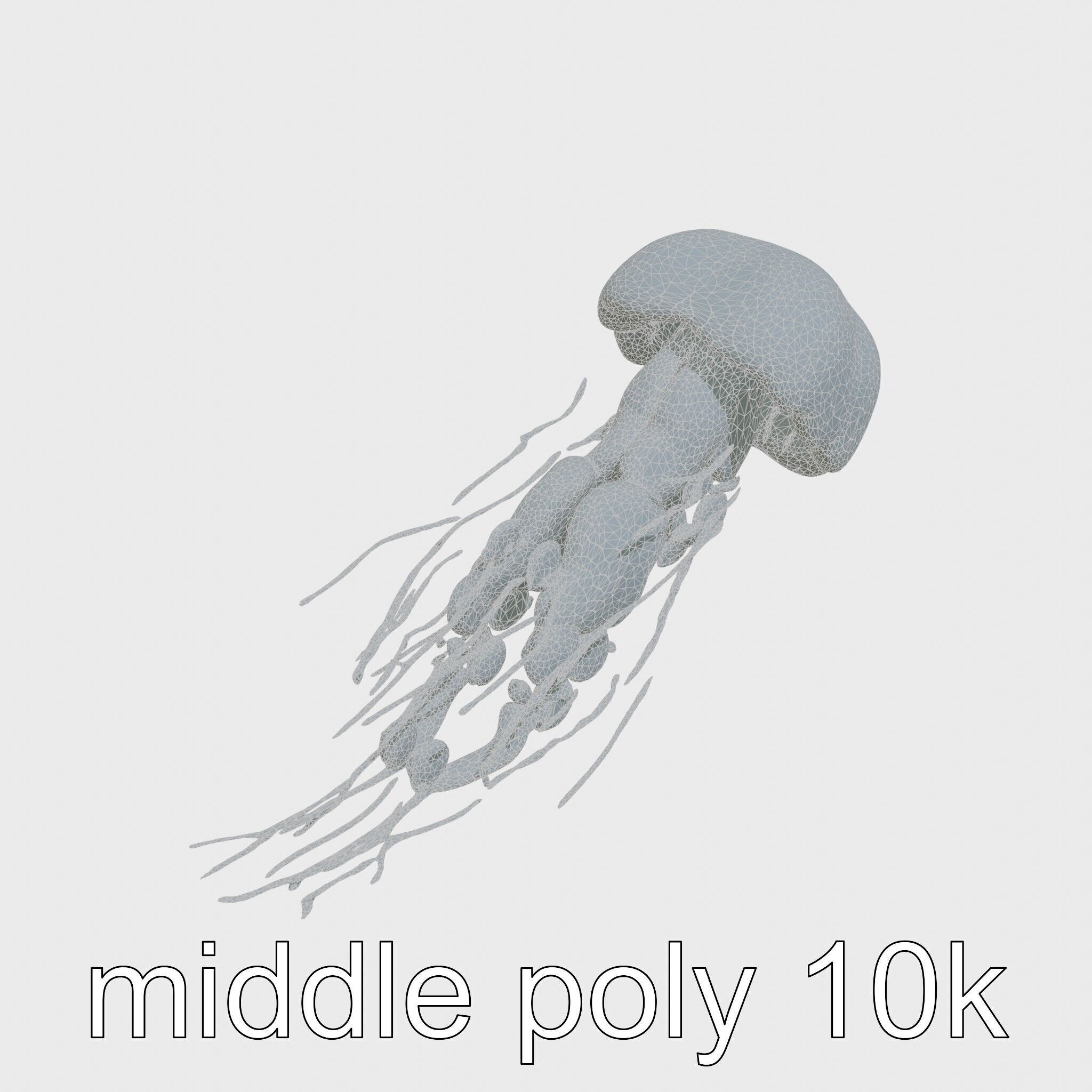 Bioluminescent Deep-Sea Jellyfish with Glowing Tentacles Low-poly 3D model_21