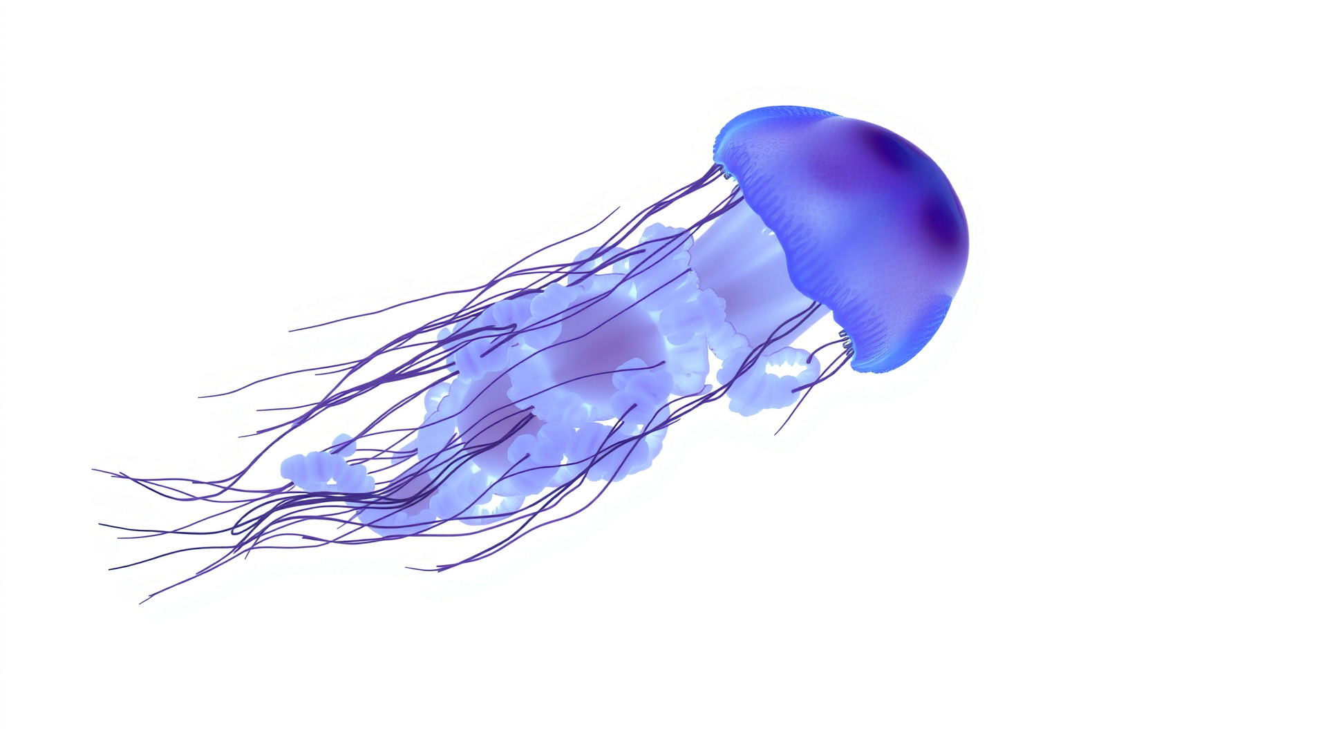 Bioluminescent Deep-Sea Jellyfish with Glowing Tentacles Low-poly 3D model_3