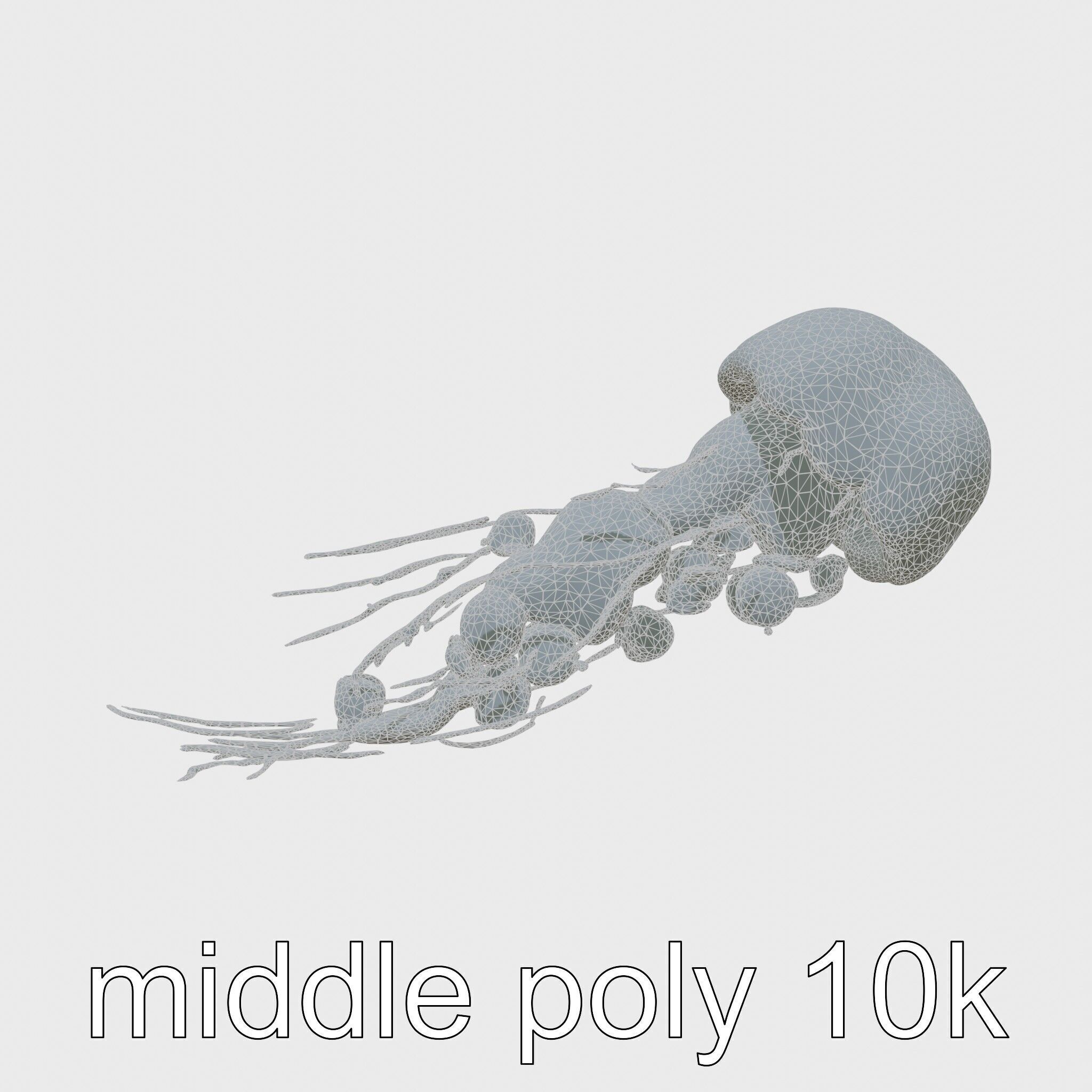 Bioluminescent Deep-Sea Jellyfish with Glowing Tentacles Low-poly 3D model_12