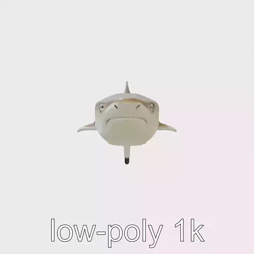 Horn Shark Model Spine Covered Back Low-poly 3D model