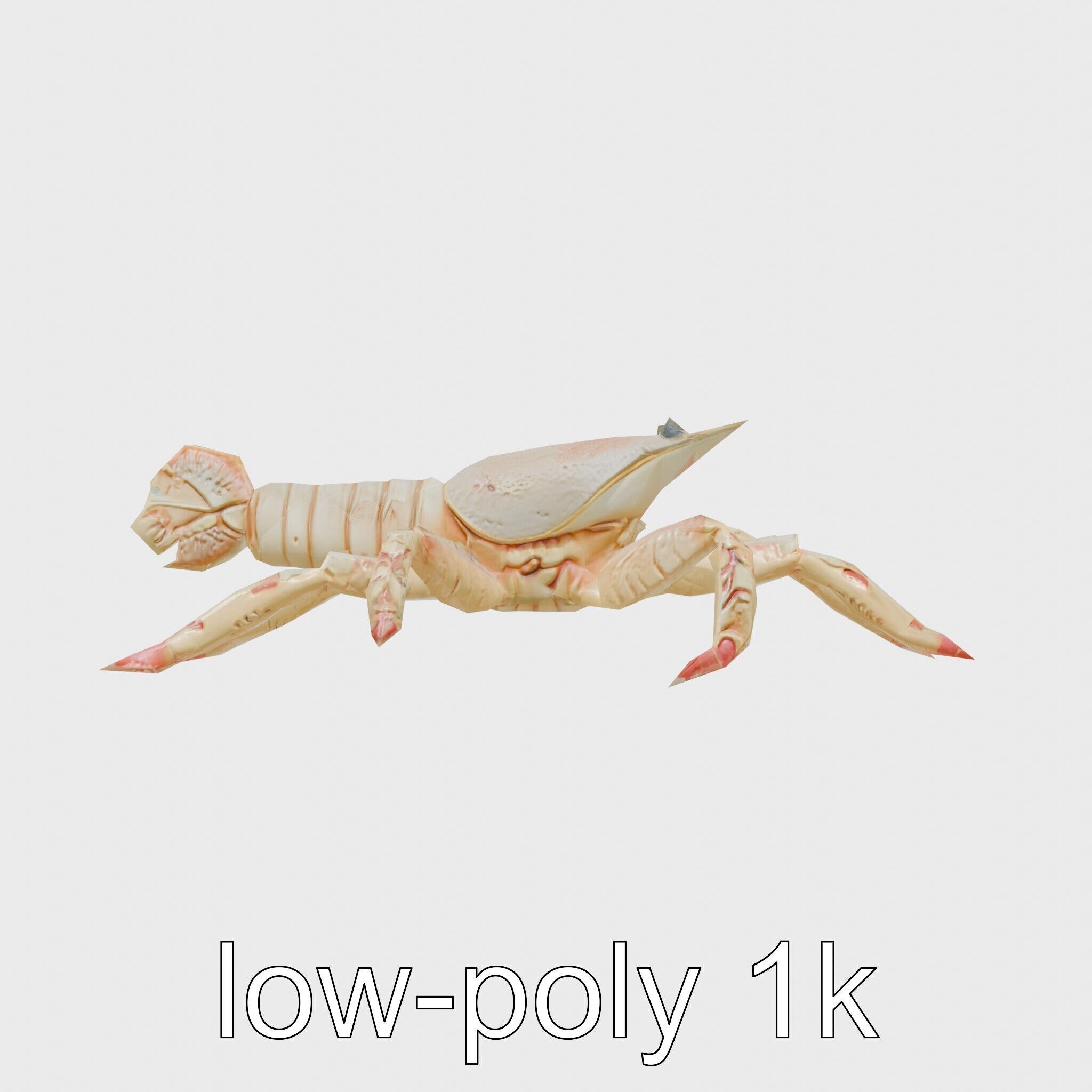 Arrow Crab Detailed 3D Model with Elongated Body and Pointed ... Low-poly 3D model_4