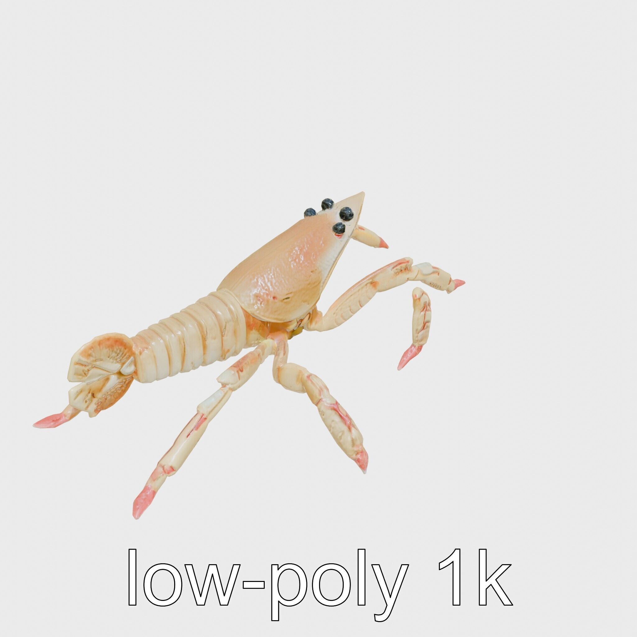 Arrow Crab Detailed 3D Model with Elongated Body and Pointed ... Low-poly 3D model_9