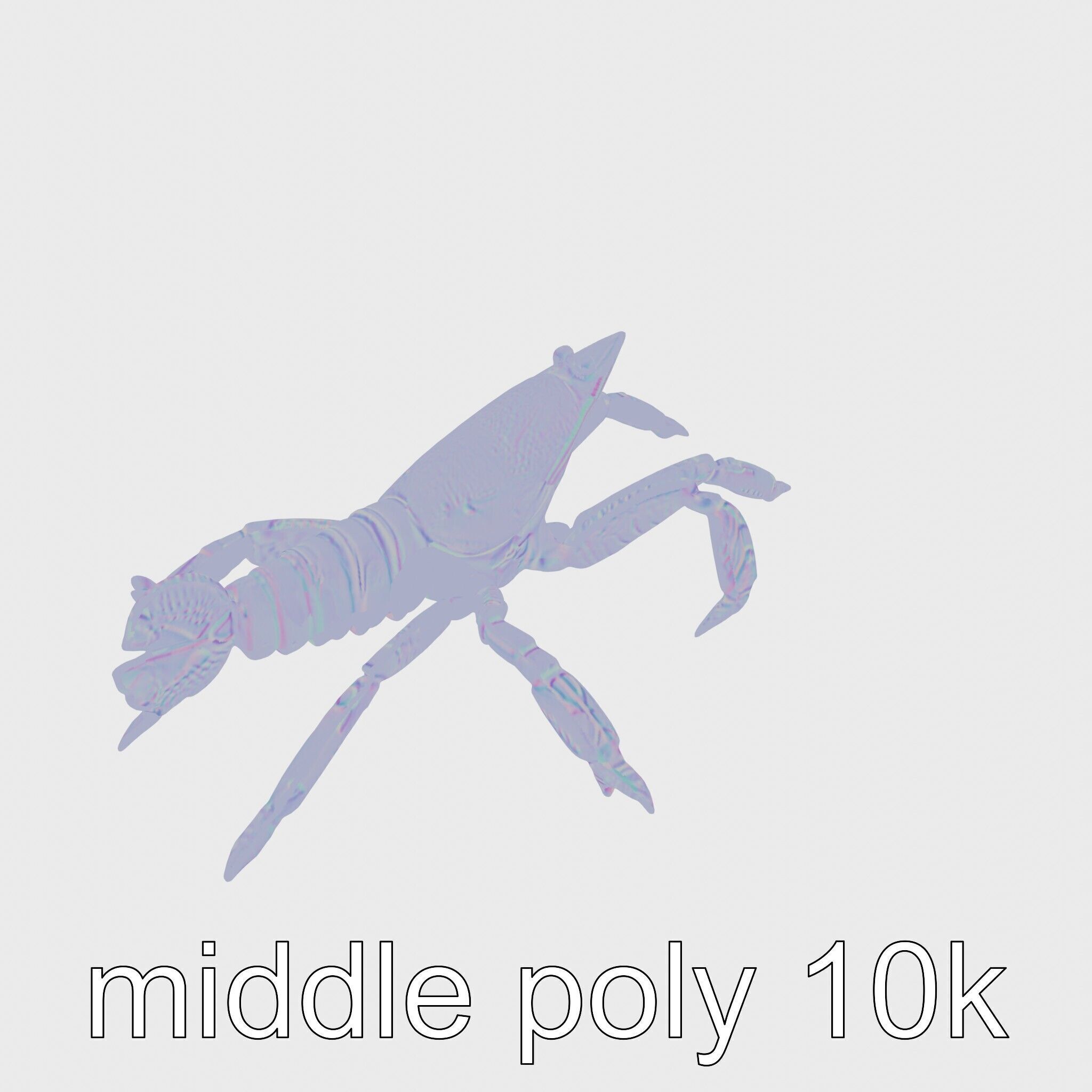 Arrow Crab Detailed 3D Model with Elongated Body and Pointed ... Low-poly 3D model_11