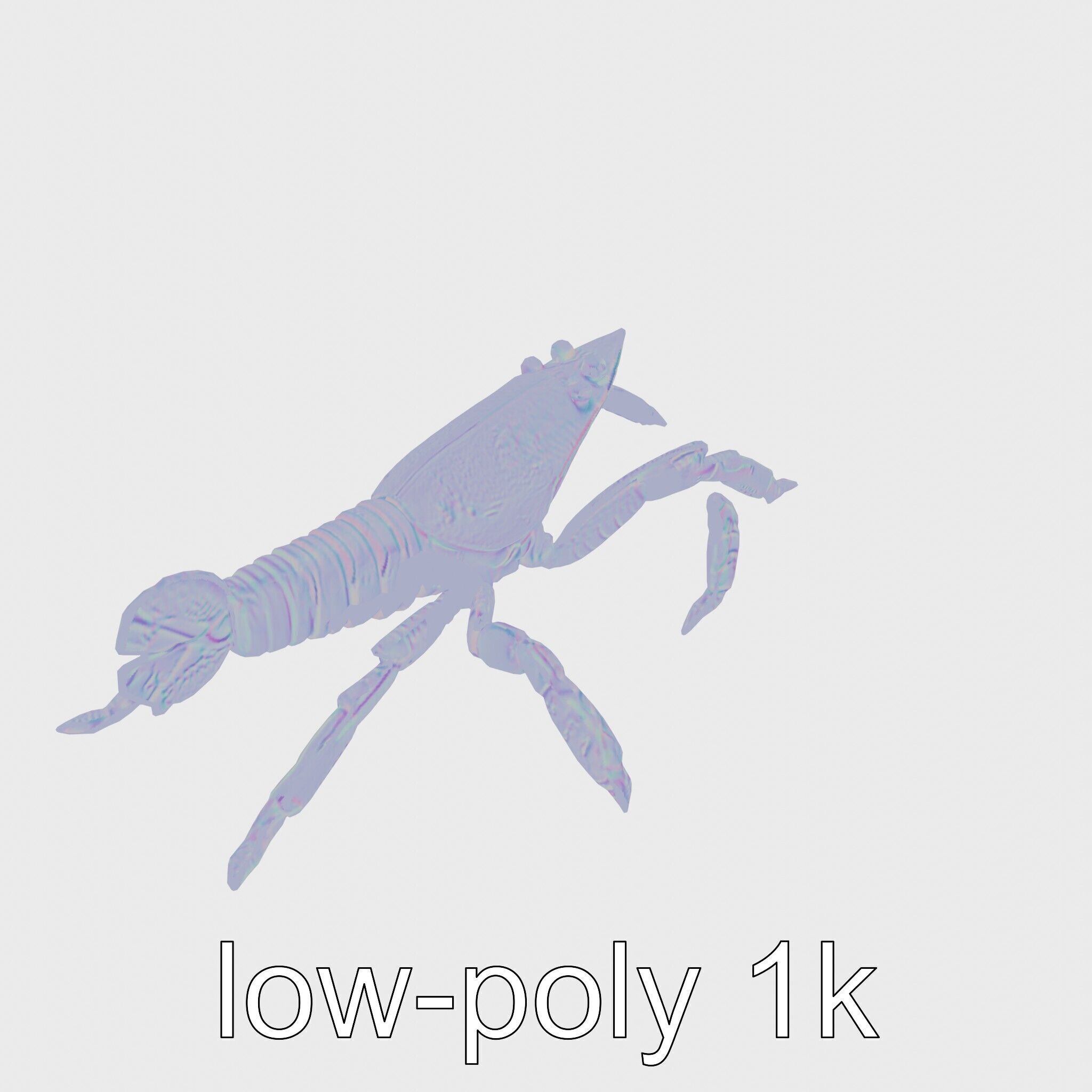 Arrow Crab Detailed 3D Model with Elongated Body and Pointed ... Low-poly 3D model_18