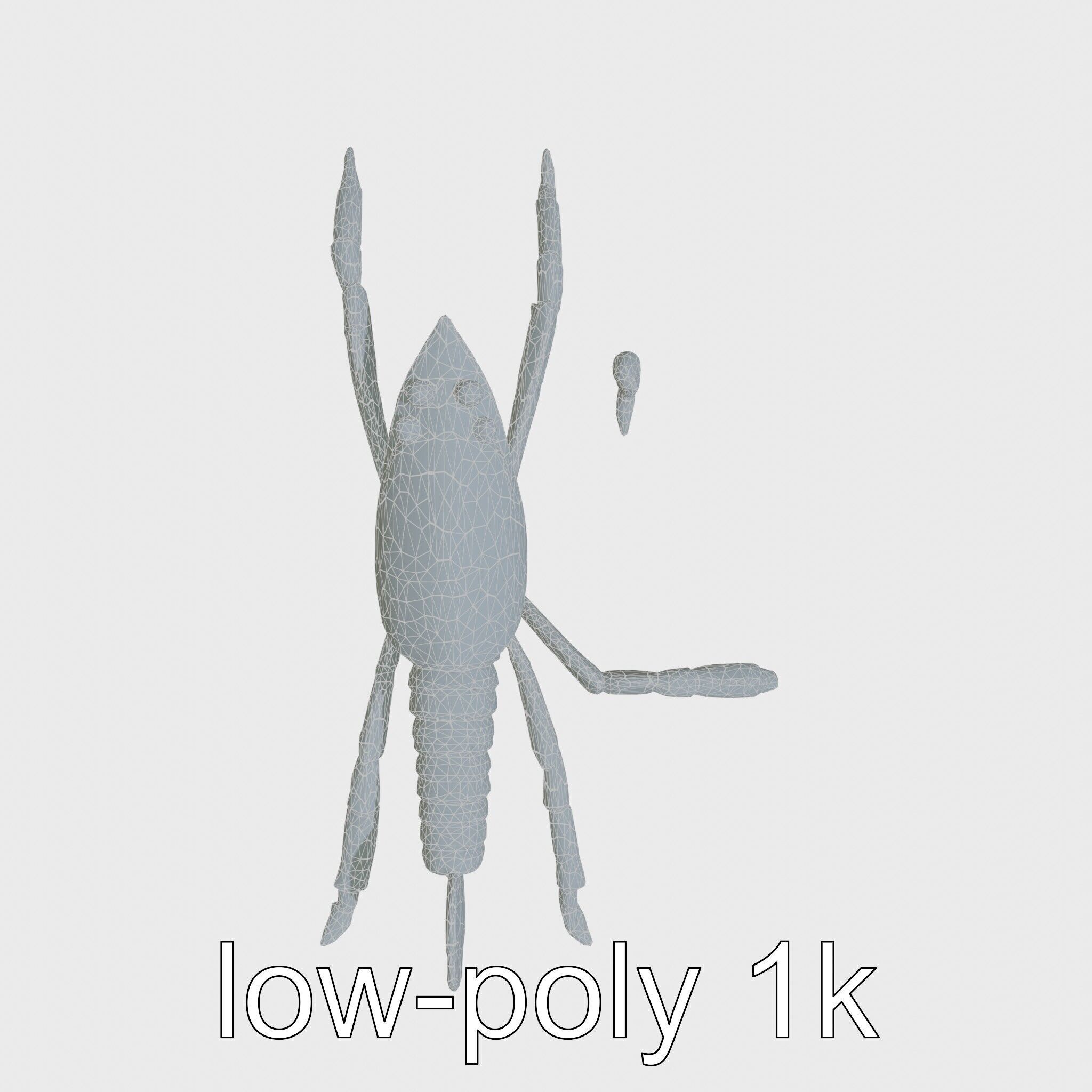 Arrow Crab Detailed 3D Model with Elongated Body and Pointed ... Low-poly 3D model_16