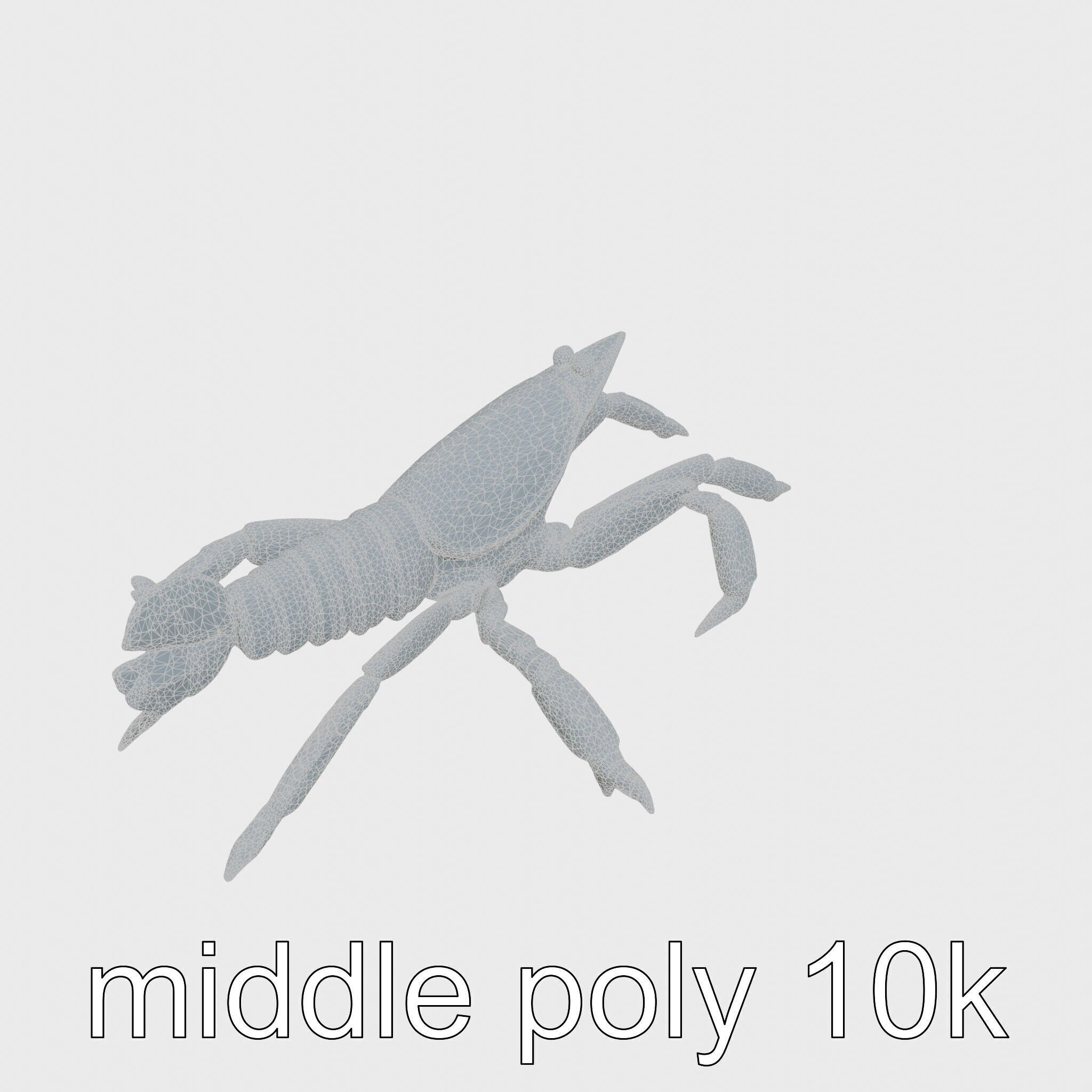 Arrow Crab Detailed 3D Model with Elongated Body and Pointed ... Low-poly 3D model_10