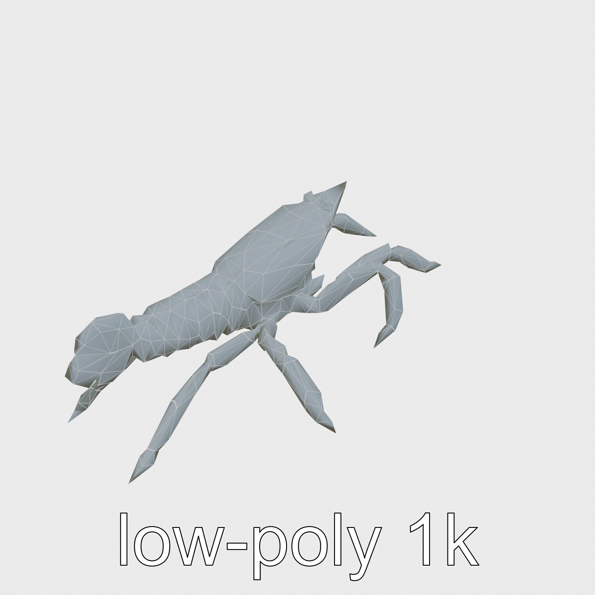 Arrow Crab Detailed 3D Model with Elongated Body and Pointed ... Low-poly 3D model_21
