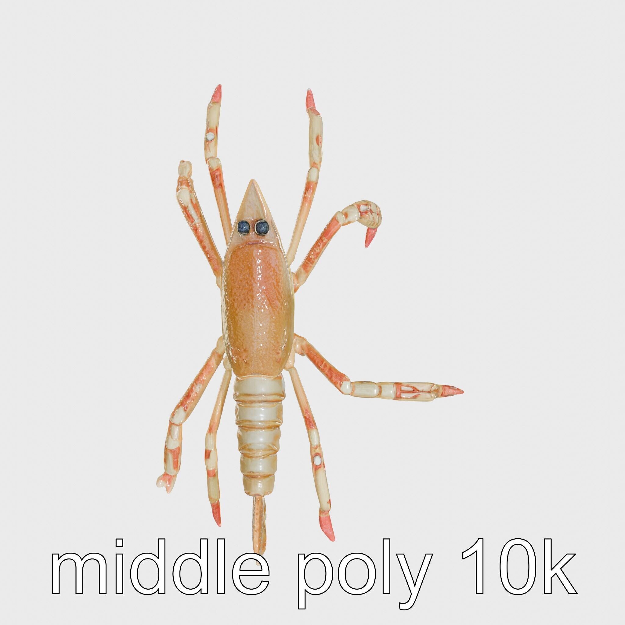 Arrow Crab Detailed 3D Model with Elongated Body and Pointed ... Low-poly 3D model_20