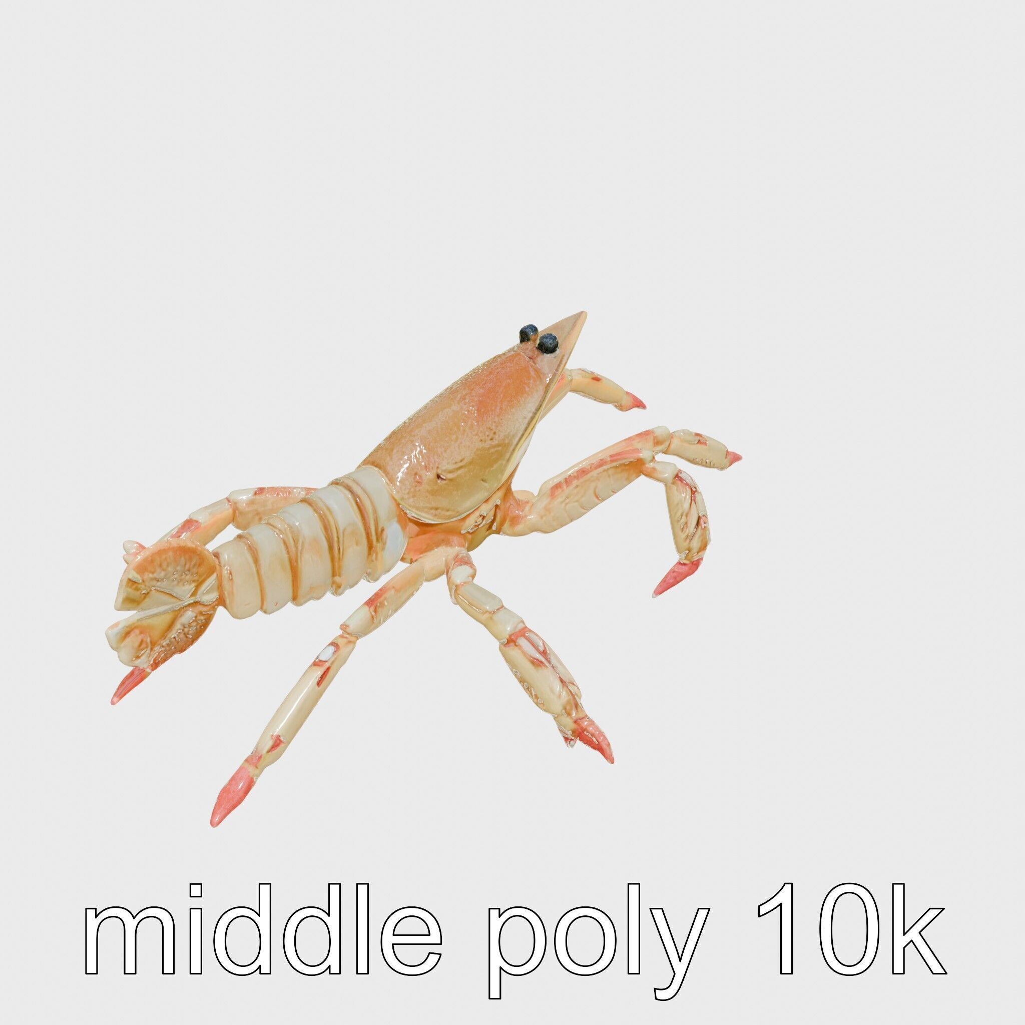 Arrow Crab Detailed 3D Model with Elongated Body and Pointed ... Low-poly 3D model_8