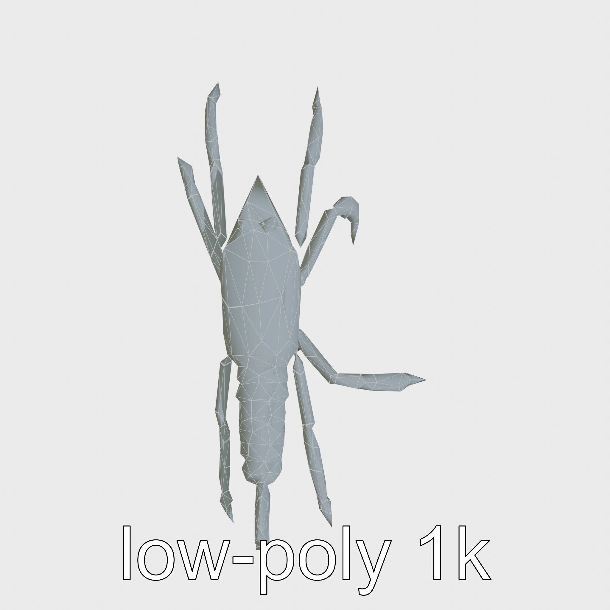 Arrow Crab Detailed 3D Model with Elongated Body and Pointed ... Low-poly 3D model_19