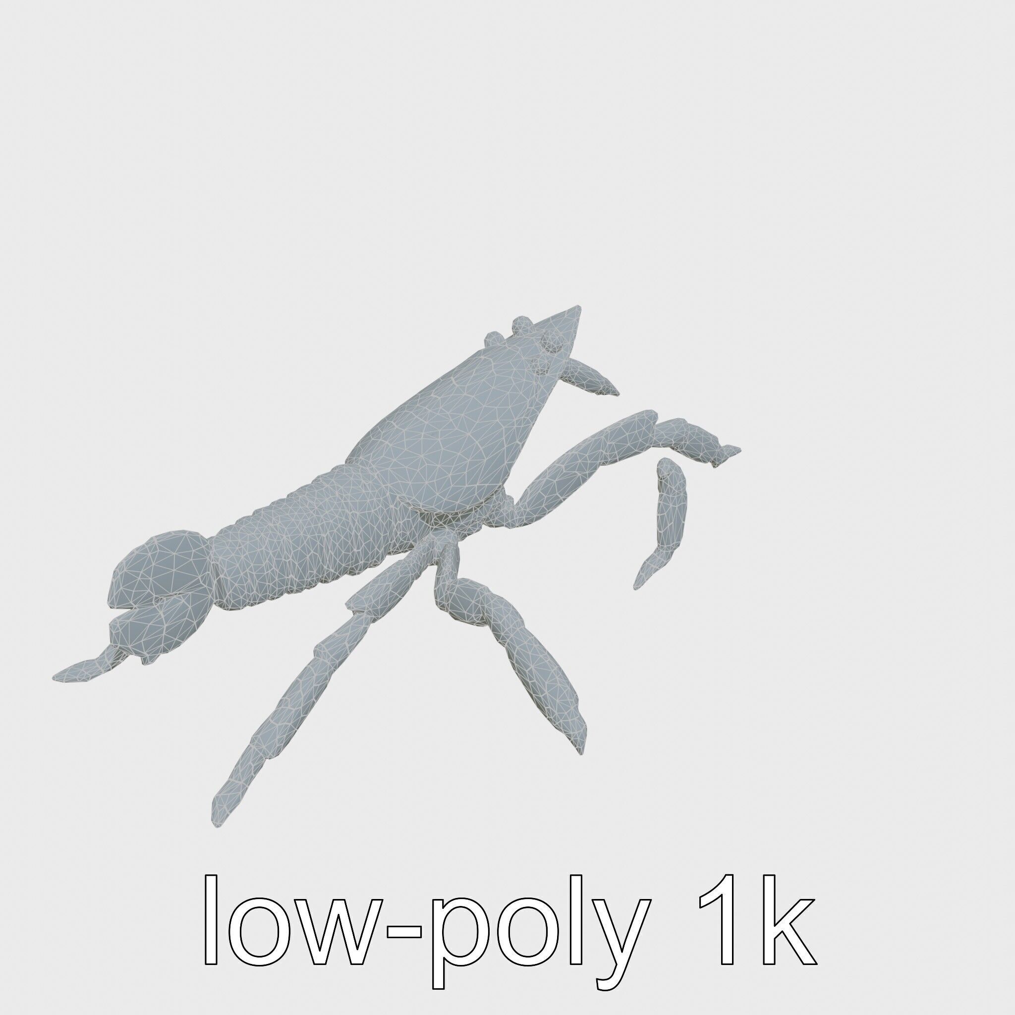 Arrow Crab Detailed 3D Model with Elongated Body and Pointed ... Low-poly 3D model_24