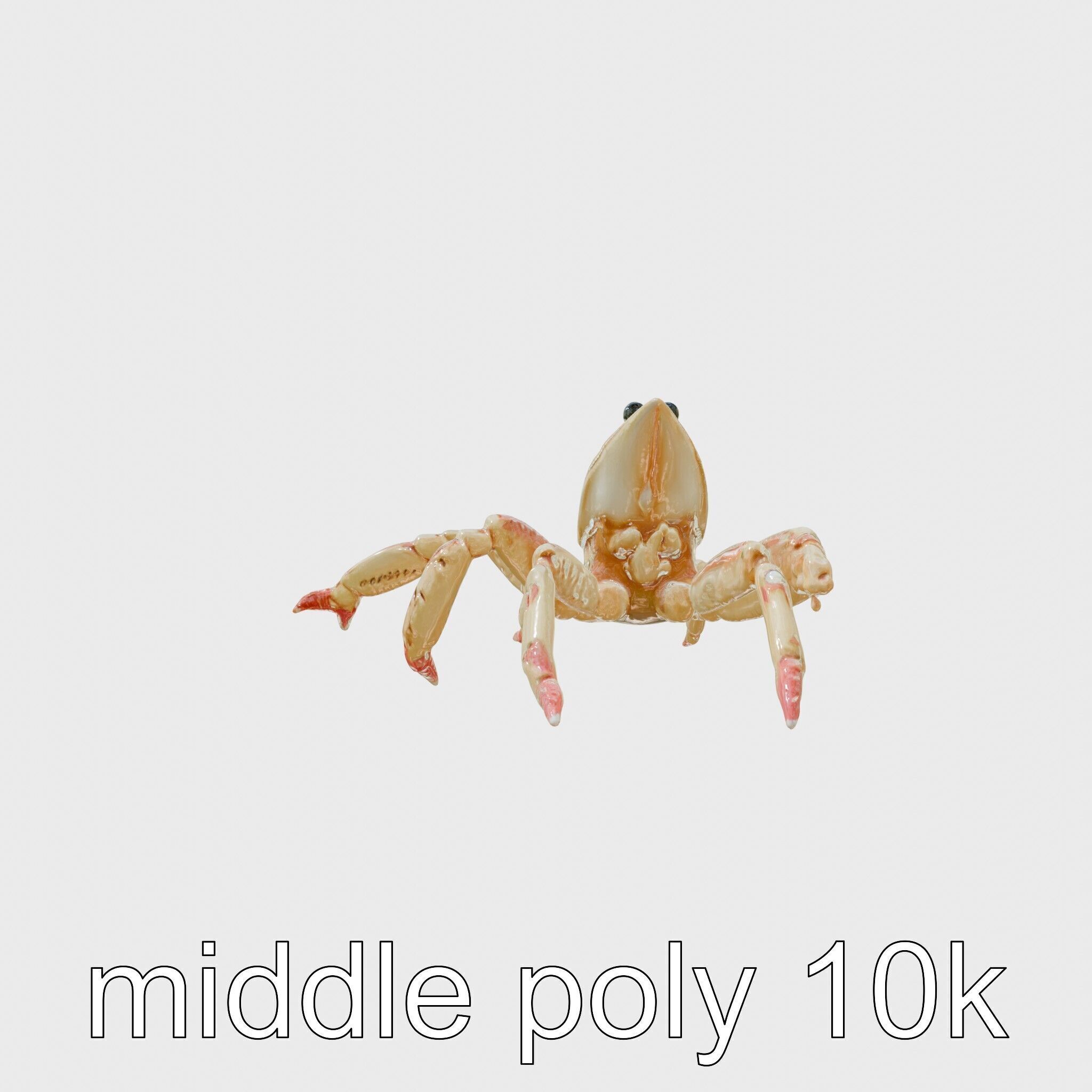 Arrow Crab Detailed 3D Model with Elongated Body and Pointed ... Low-poly 3D model_2