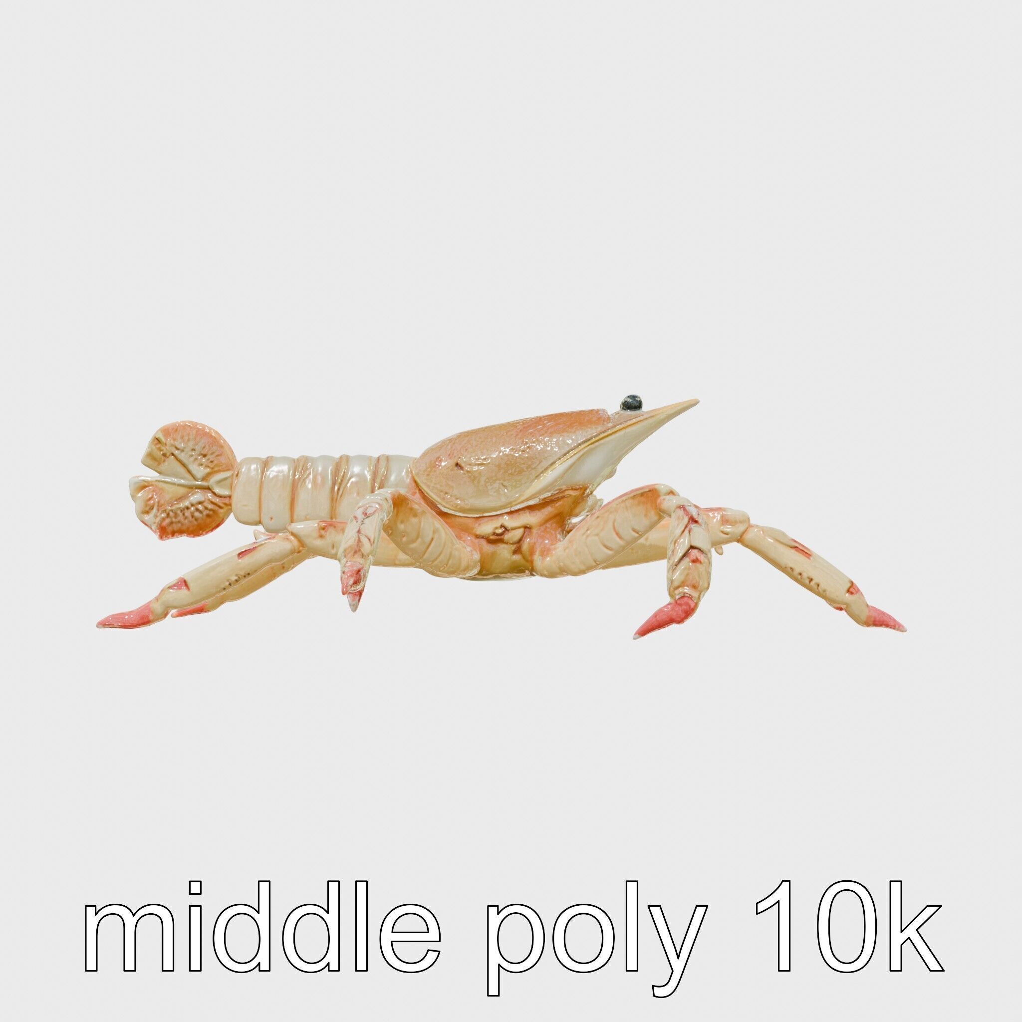 Arrow Crab Detailed 3D Model with Elongated Body and Pointed ... Low-poly 3D model_26