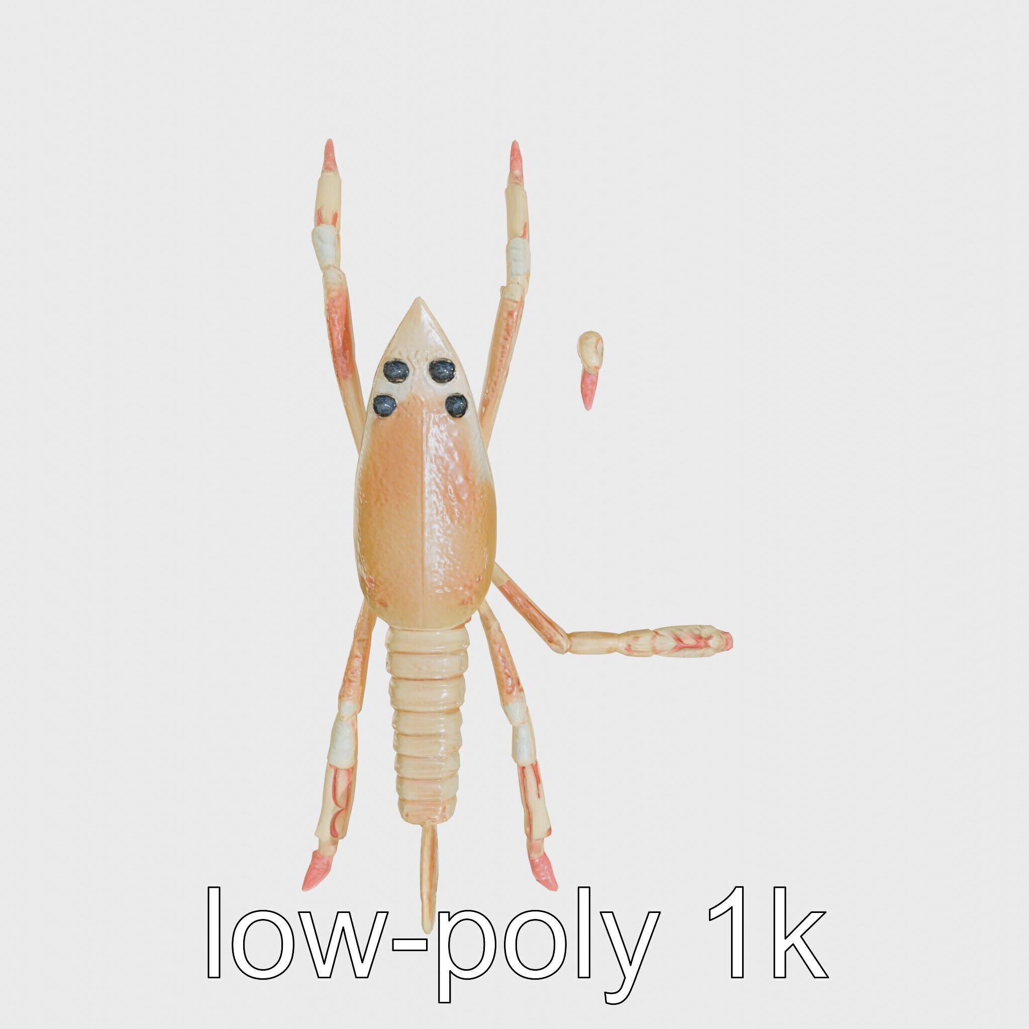 Arrow Crab Detailed 3D Model with Elongated Body and Pointed ... Low-poly 3D model_28