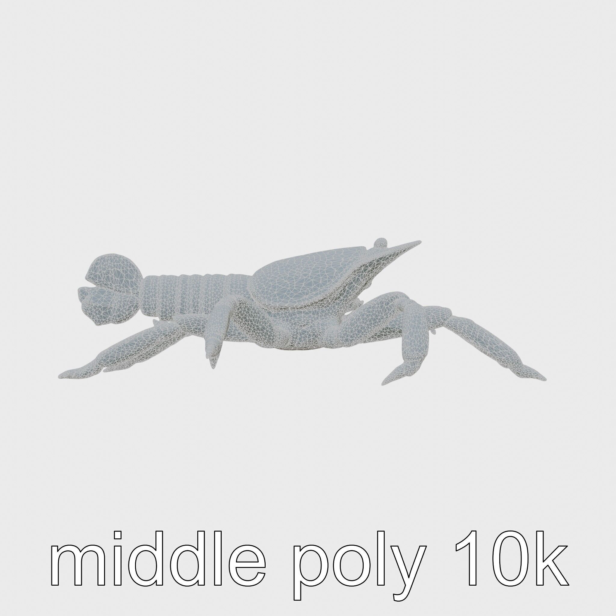Arrow Crab Detailed 3D Model with Elongated Body and Pointed ... Low-poly 3D model_22