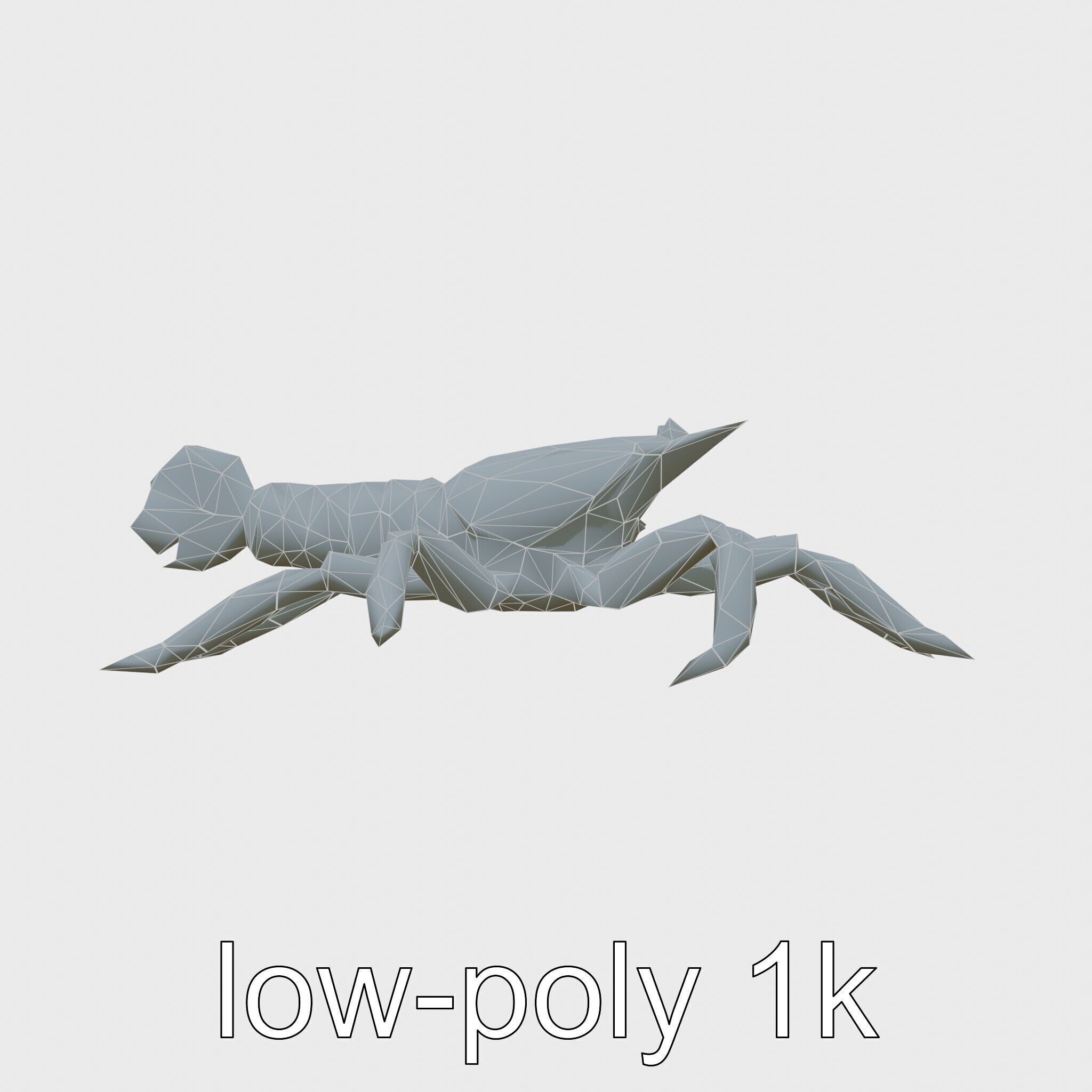 Arrow Crab Detailed 3D Model with Elongated Body and Pointed ... Low-poly 3D model_7