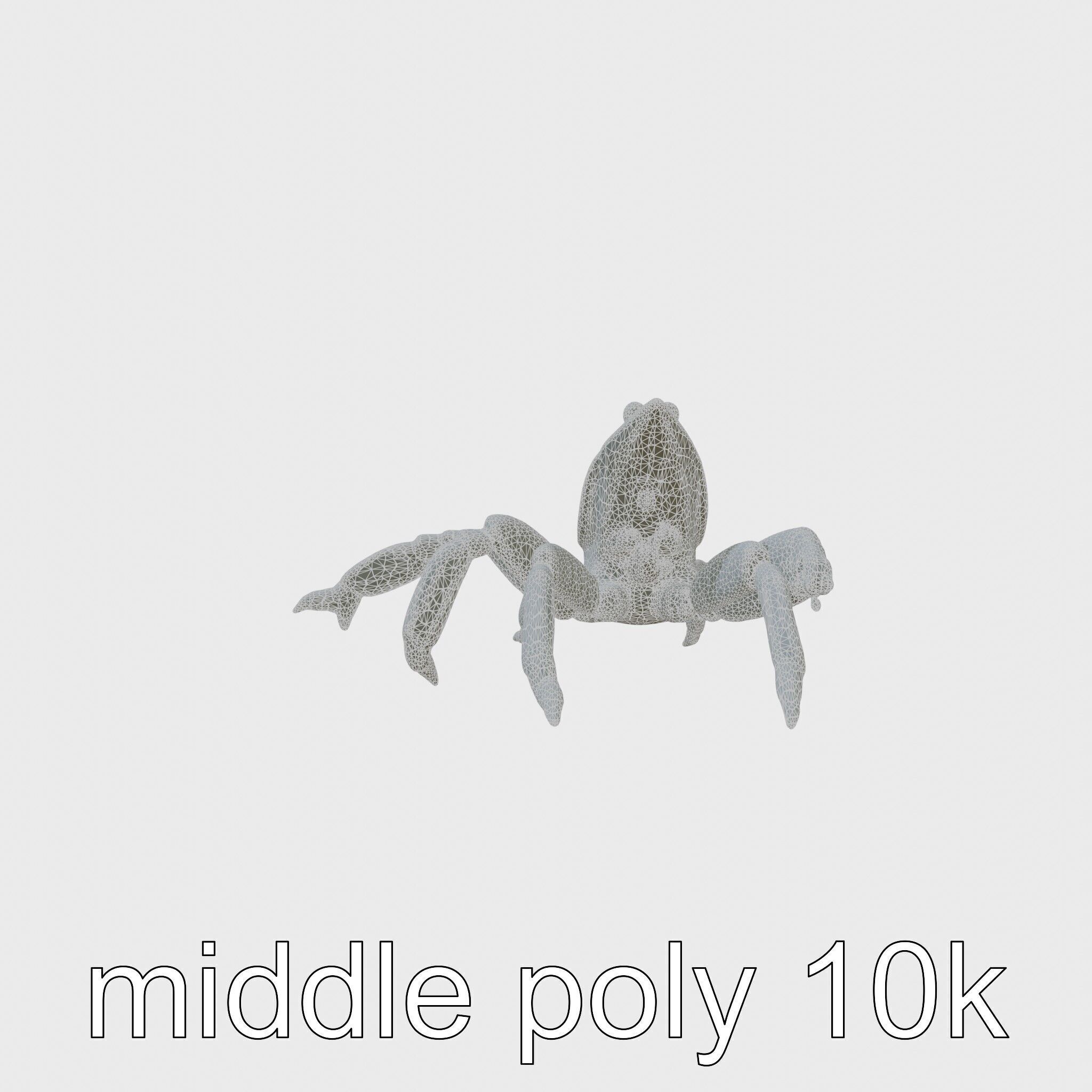Arrow Crab Detailed 3D Model with Elongated Body and Pointed ... Low-poly 3D model_5